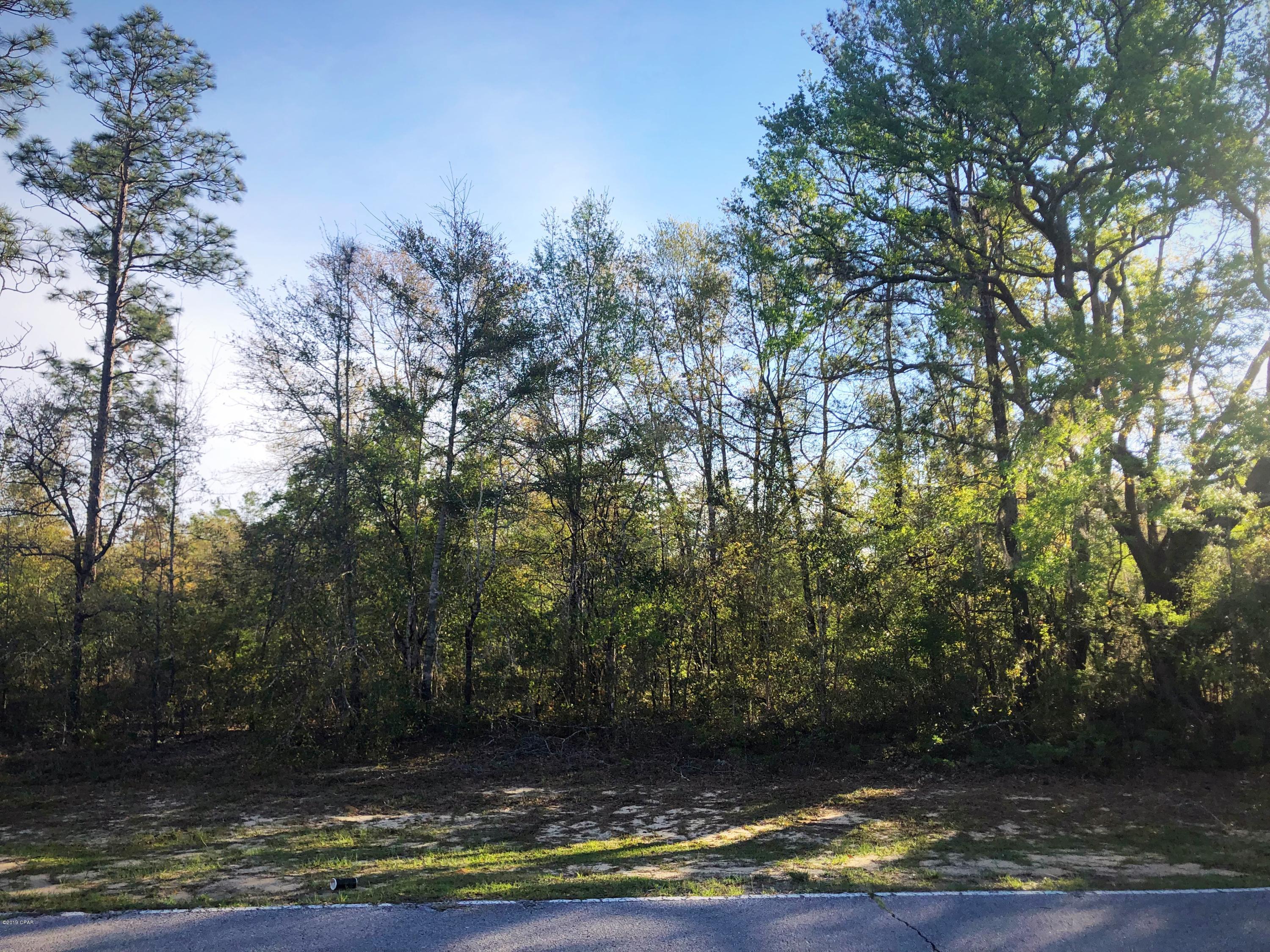 Convenient building lot in Sunny Hills. Lot is located less than a half mile off of Hwy 77 on one of the main Blvd's and not in a flood zone! Sunny Hills is home to the county's first golf course and 26 lakes/ponds, including crystal clear Gap Pond and the well-known Boat Lake. There are 5 boat landings in the community for the fishermen. Deed restricted, but there is no HOA fee that applies. No mobile homes. Enjoy the slower pace of life this area has to offer and significantly lower taxes! Washington County is among the top five counties in the state of Florida that have the lowest property taxes. This lot is only a 20 minute drive from Chipley or Bonifay and about 45 minutes from Panama City Beach. In between there are several gas stations, convenient stores, and mom-and-pop restaurants