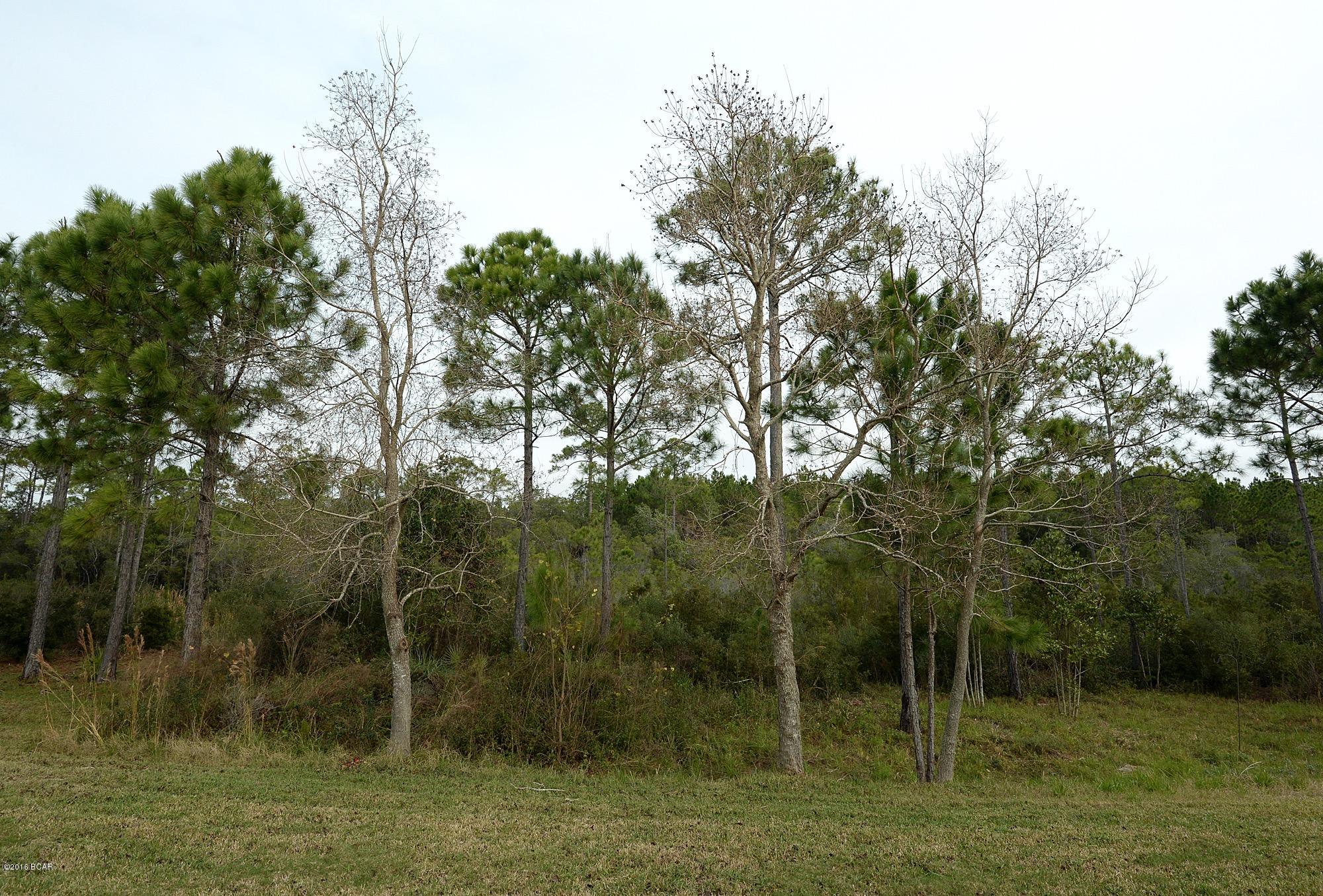 Palmetto Trace - Residential