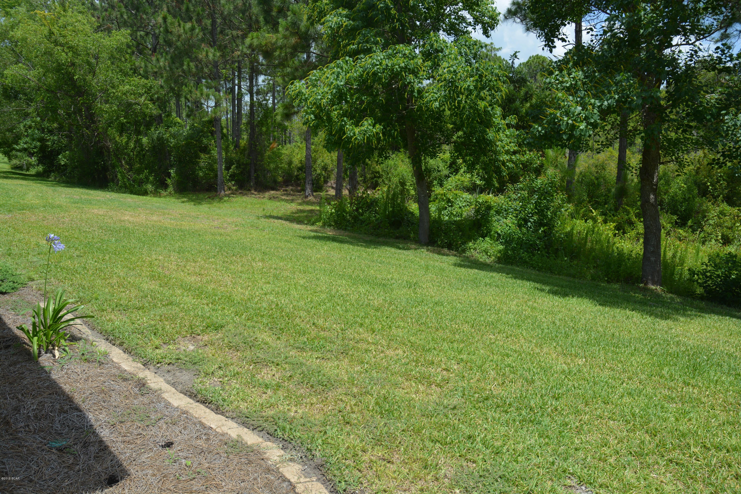 Palmetto Trace - Residential