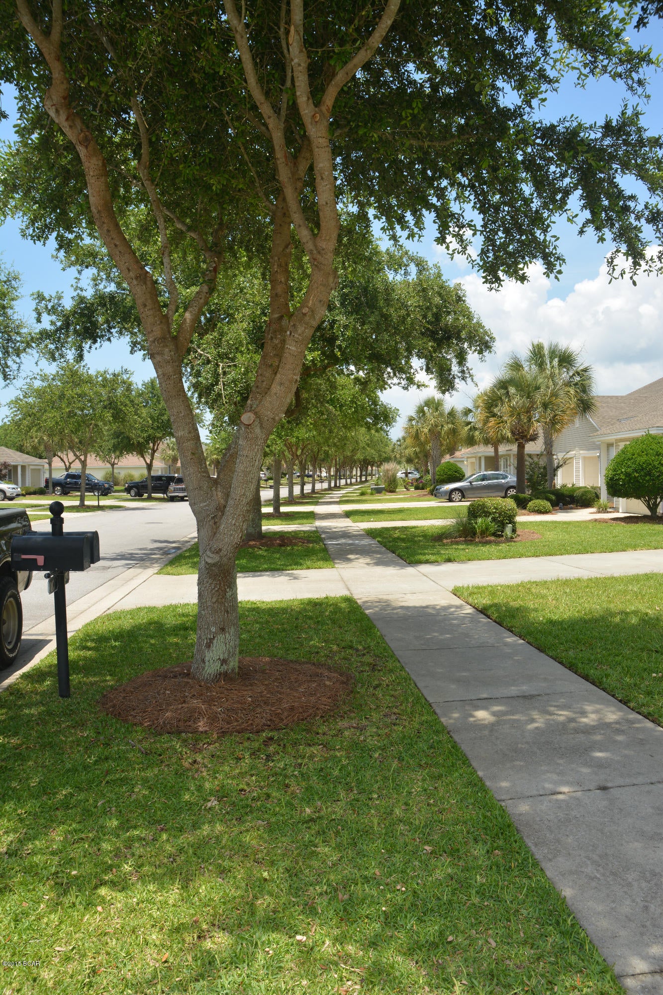 Palmetto Trace - Residential