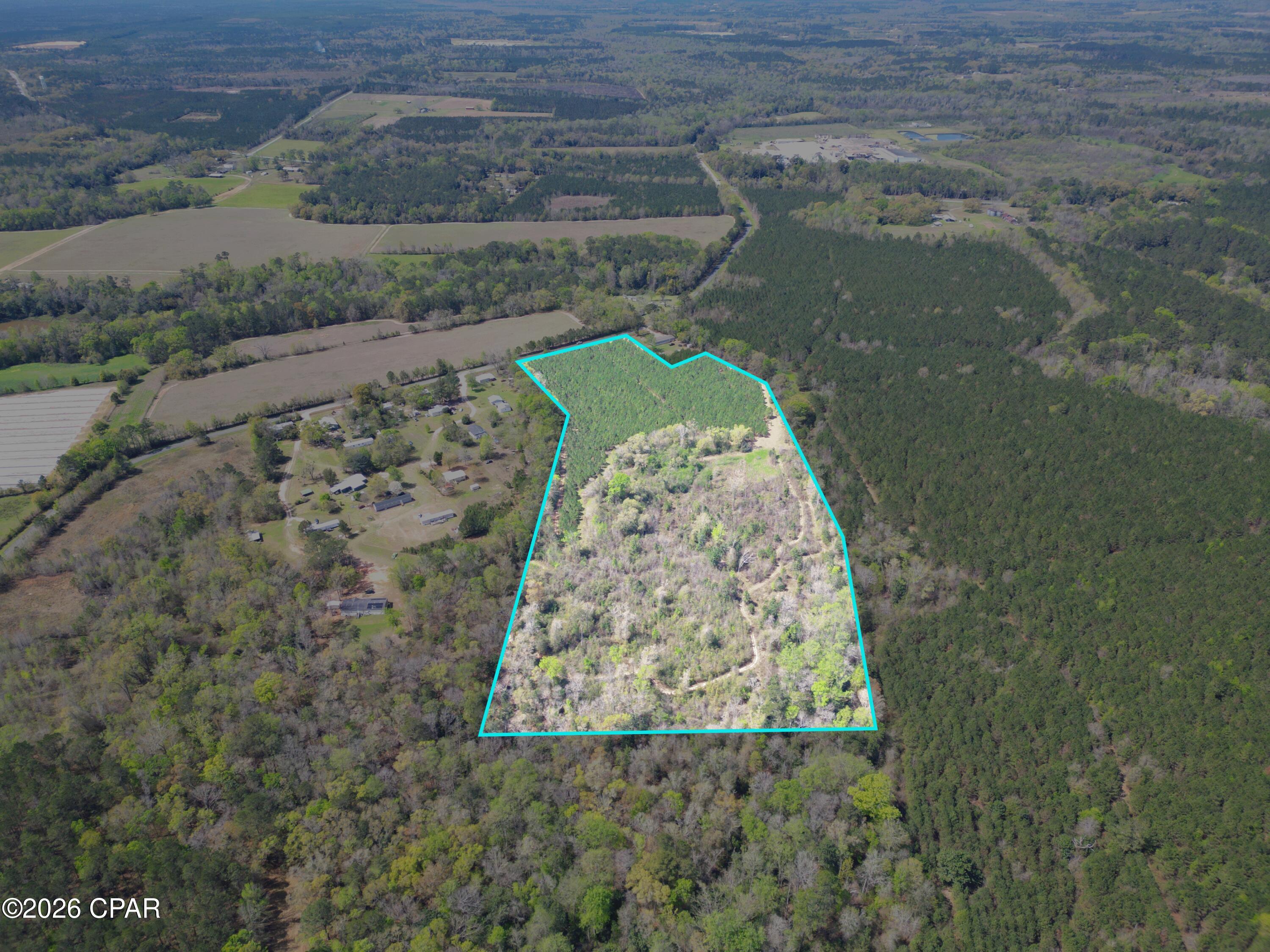 14.1 ACRES | UNRESTRICTED | HIGH & DRY | NORTH FLORIDA

Discover 14.1 acres of unrestricted North Florida land located on Thigpen Road, just off Hosford Highway in Quincy. Offering privacy, versatility, and plenty of room to spread out, this beautiful tract is ready for whatever you envision--your future homesite, recreational retreat, hunting property, or long-term investment.

Much of the acreage features approximately 6-year-old planted pines, while thicker natural vegetation toward the back of the property provides excellent cover and habitat for wildlife. Deer, turkey, squirrels, and a variety of birds are frequently seen throughout the area, making this an appealing option for outdoor enthusiasts and hunters.

Located in Flood Zone X, the property offers the added advantage of high-and-dry land with flexibility for future use. With no restrictions, bring your plans and make this property your own--build your dream home, create a private getaway, enjoy hunting and recreation, or simply hold the land as an investment.

14.1 acres. No restrictions. Privacy, wildlife, and possibilities. Opportunities to own acreage like this in North Florida don't come along every day--come see what this property has to offer!