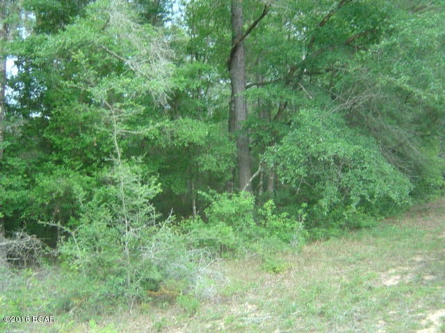Compass Lake Hills Unit 6 - Land