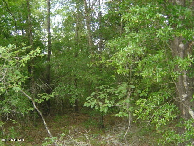 Compass Lake Hills Unit 6 - Land