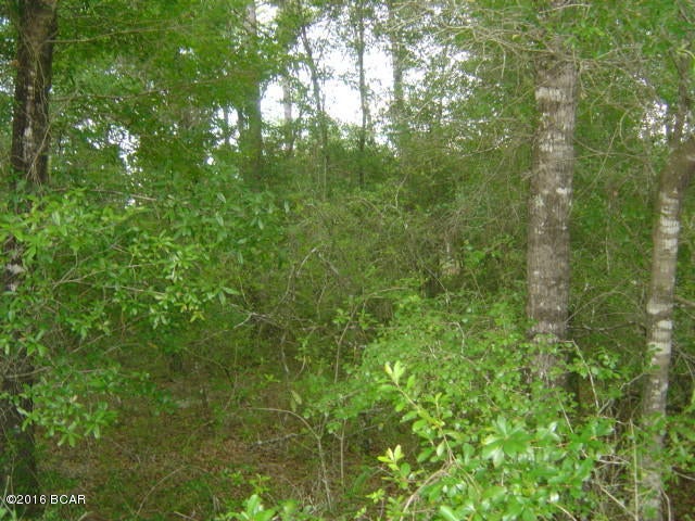 Compass Lake Hills Unit 6 - Land
