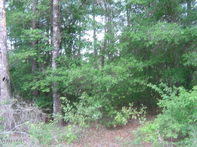 Compass Lake Hills Unit 6 - Land