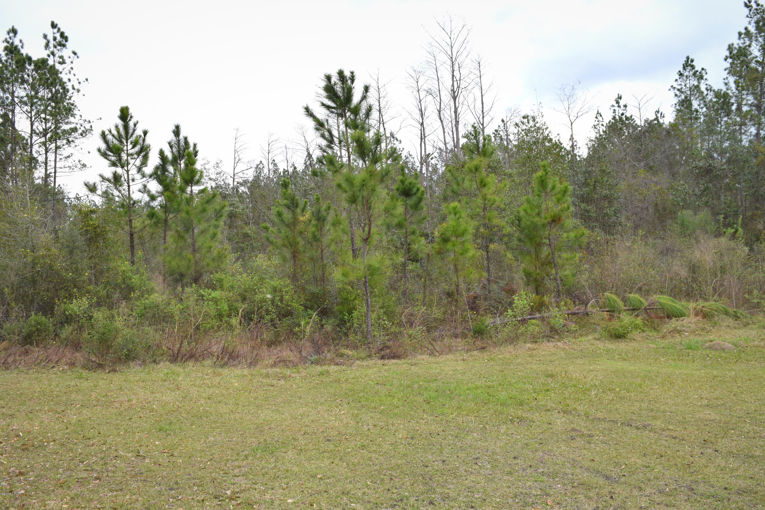 With over 21 acres of planted pines this rare find offers many beautiful homesites or great investment opportunity. Property is located between Chipley, Vernon and Wausau and a short drive to interstate 10.