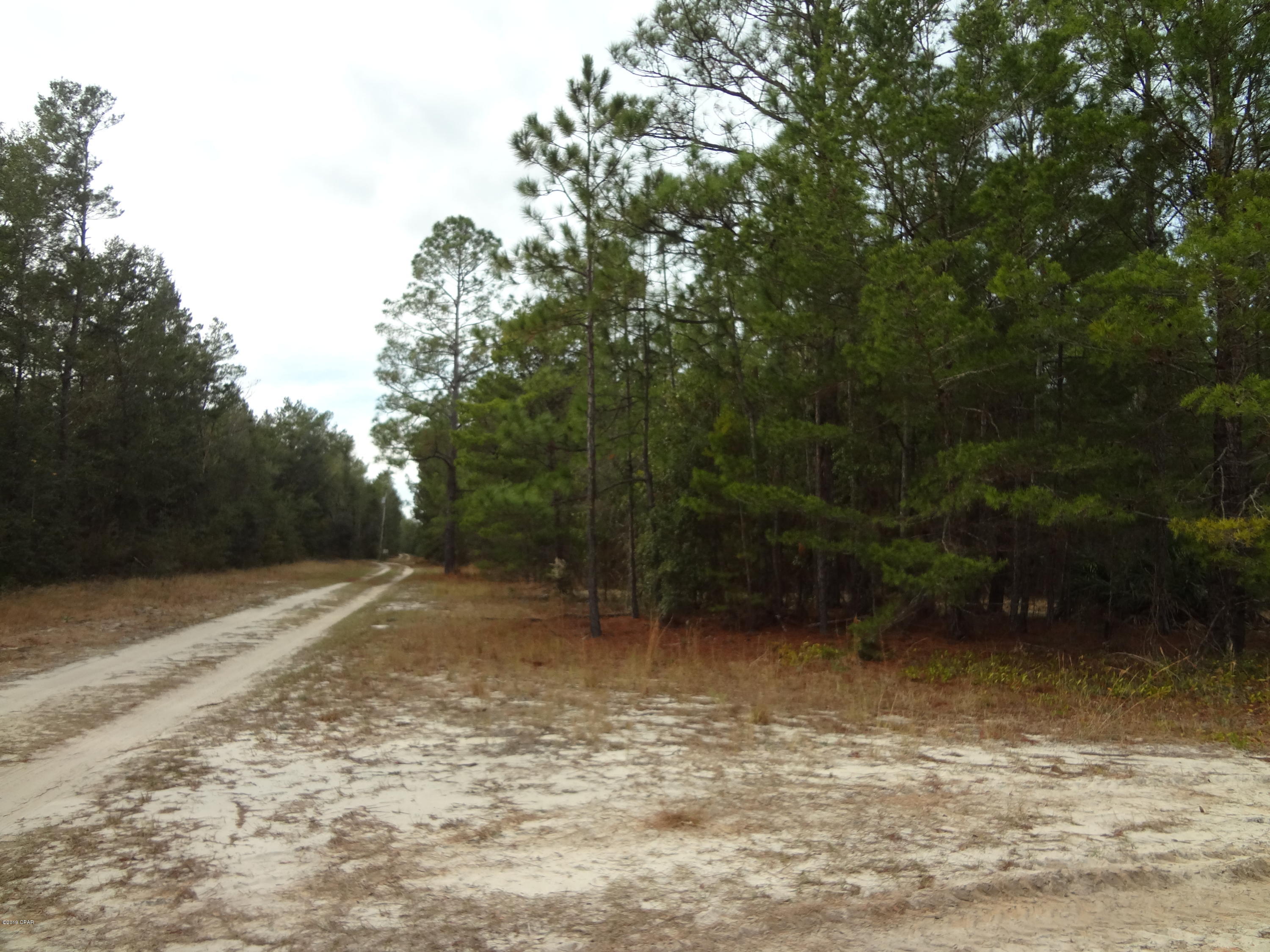 Otter Creek - Land