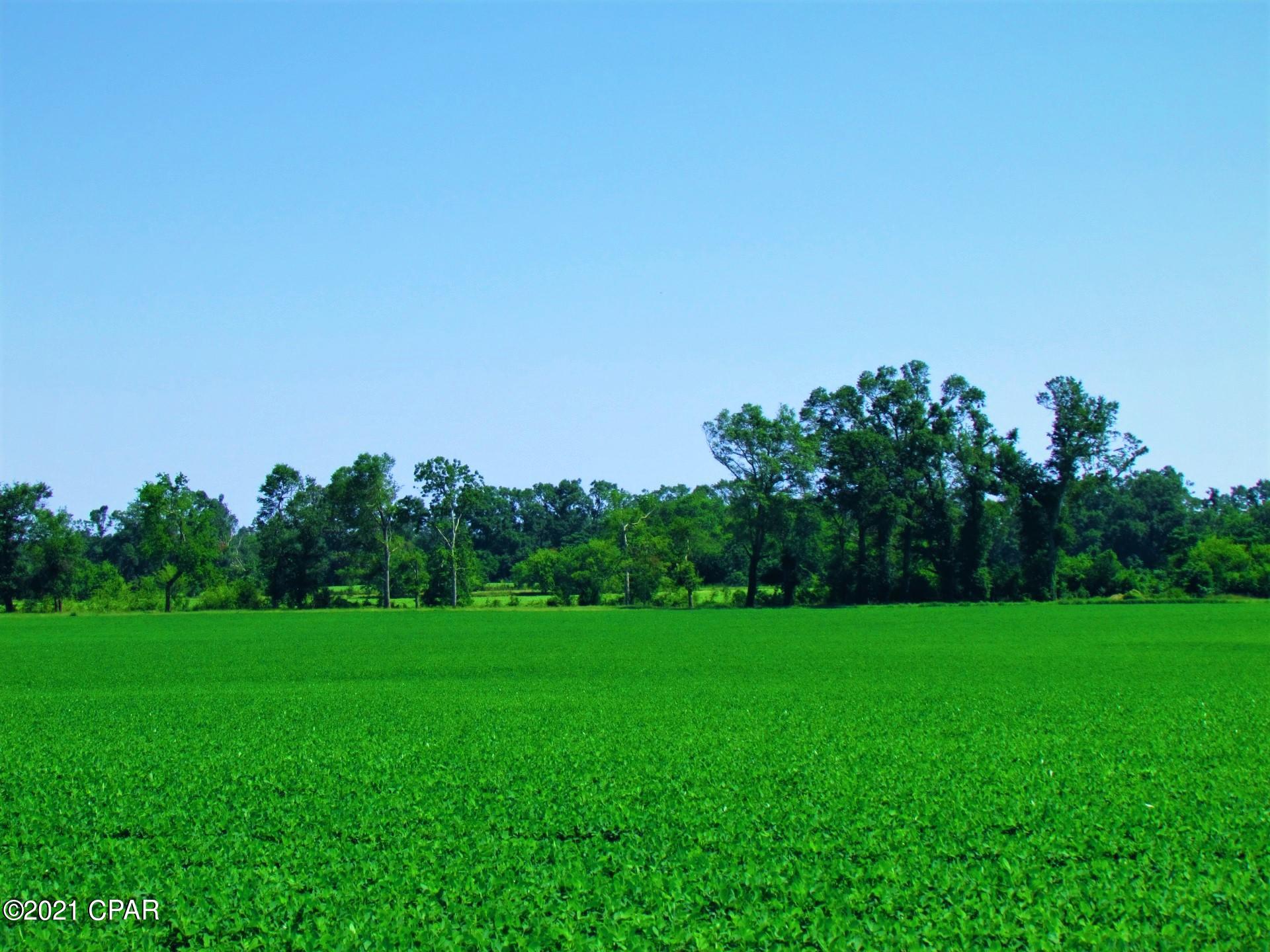 Greenbriar Estates 1 - Land