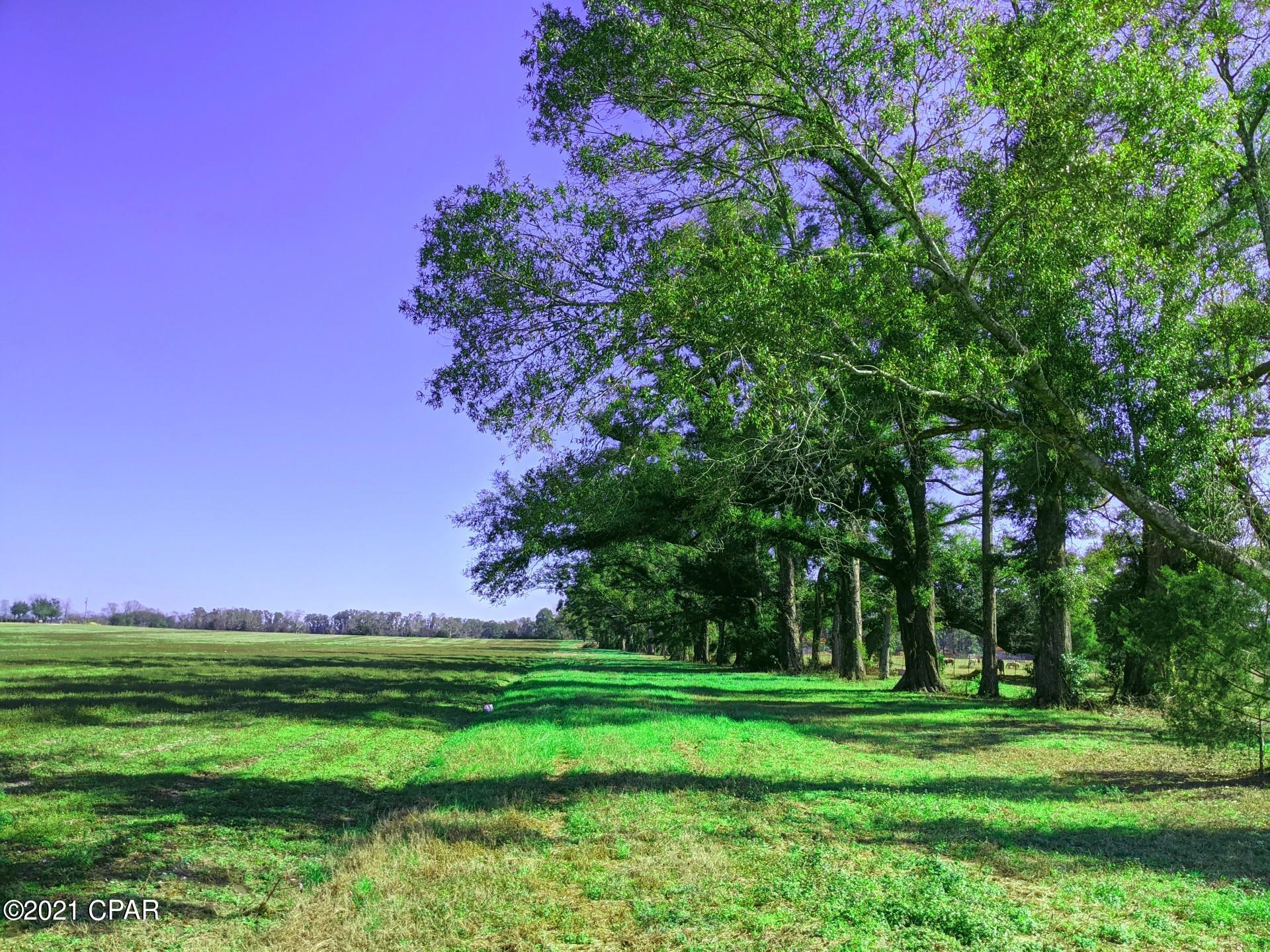 Greenbriar Estates 1 - Land