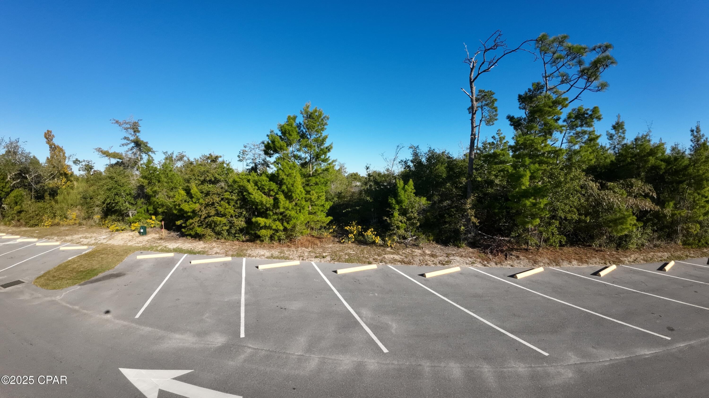 Callaway - Land