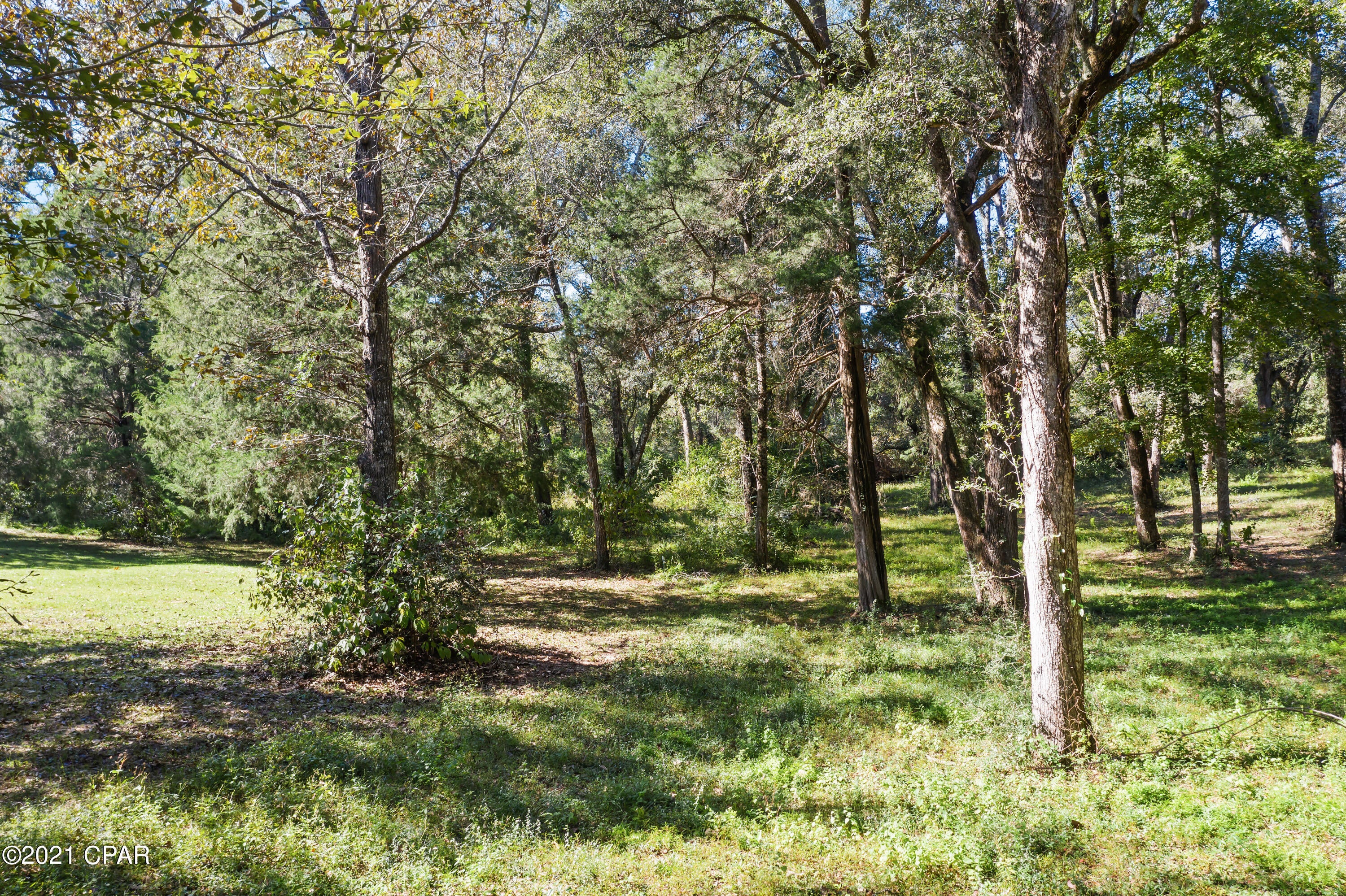 Piney Grove - Residential