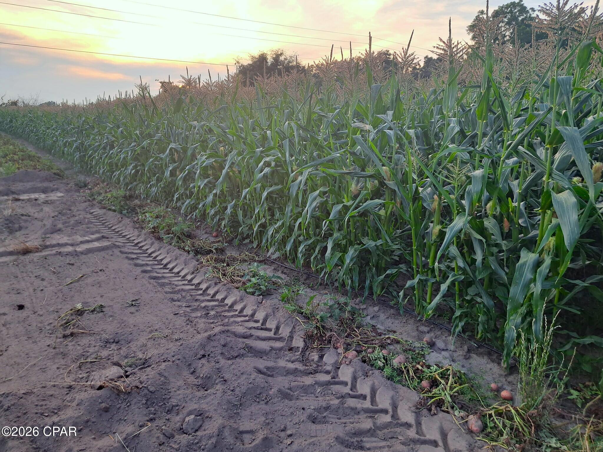 [No Recorded Subdiv] - Land