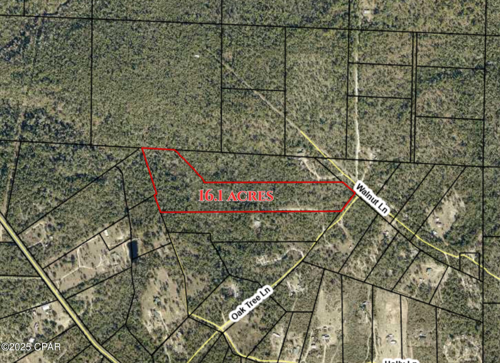 16.1 Acres - Unique Corner Lot, Corner of Oak Tree and Walnut. 
Aviation enthusiasts, take notice! This 16.1-acre corner property in Fountain offers a rare opportunity to own land that's as unique as it is spacious. From above, the lot's natural outline resembles a Boeing 747--making it a true standout for any plane lover.

Approximately 9 acres are outside the flood zone and ready for development, while about 7 acres fall within Flood Zone A, ideal for open space, recreation, or creative landscaping. With its prominent corner location, this parcel offers excellent visibility, accessibility, and potential for a variety of uses.

Whether you're seeking a one-of-a-kind homestead, a distinctive investment property, or simply land with personality and character, this acreage delivers.