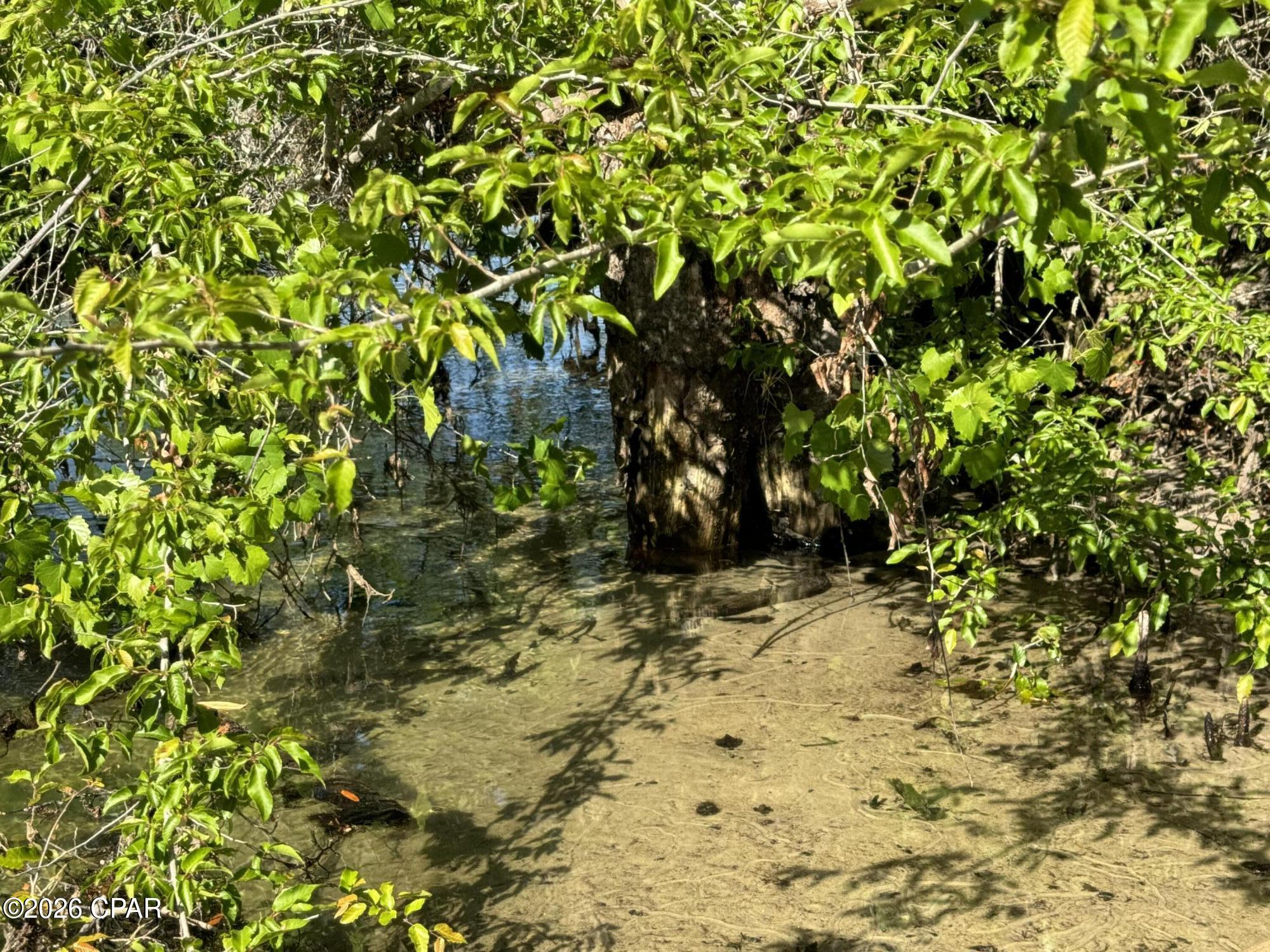 Econfina Estates Unrecord. - Land