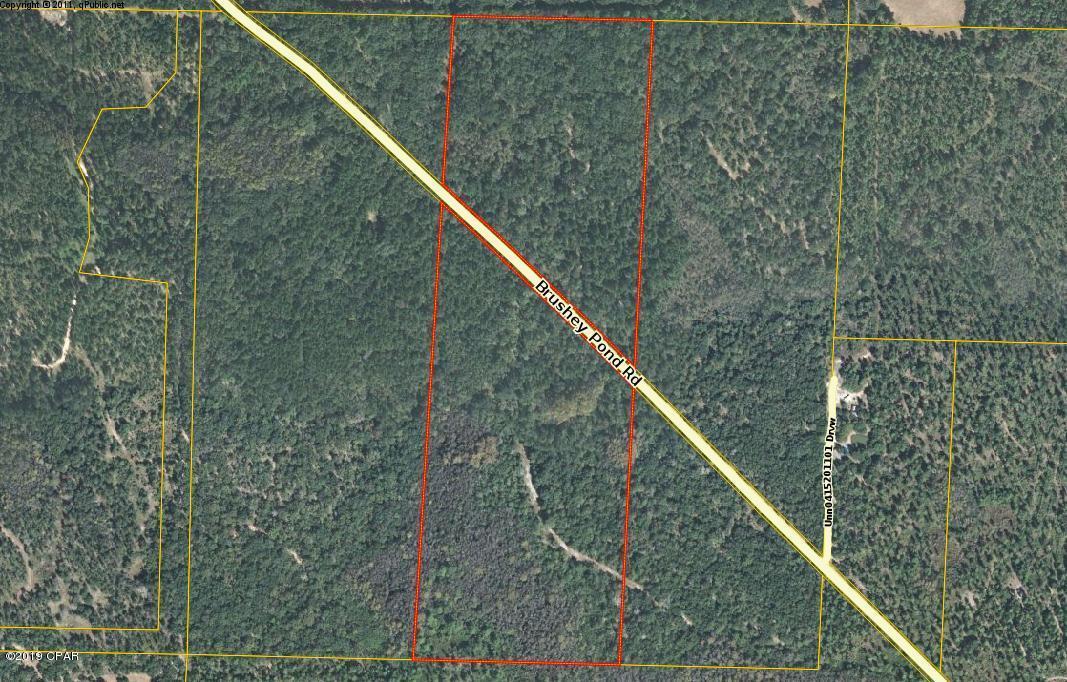 Very nice wooded large parcel of land. It would be a perfect place to build a home, small farm or hunting camp. It is located close to Grand Ridge, and I-10. The property is in a secluded area and on a quiet road. The possibilities are endless.