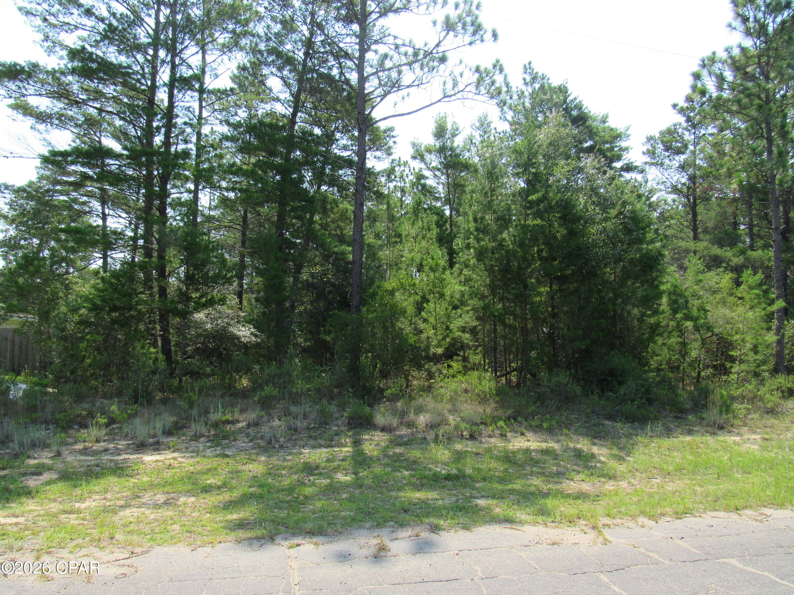 Raw natural acreage so you choose how much you want to clear and where your home will sit. This property is in the golf community of Sunny Hills, but that is not all Sunny Hills is known for. Fishing lakes, a swimming lake, miles of roads to ride bikes, community center with it's own Library. Minutes from Panama City, and the beaches, Marianna and natural springs. There is something to do year round.