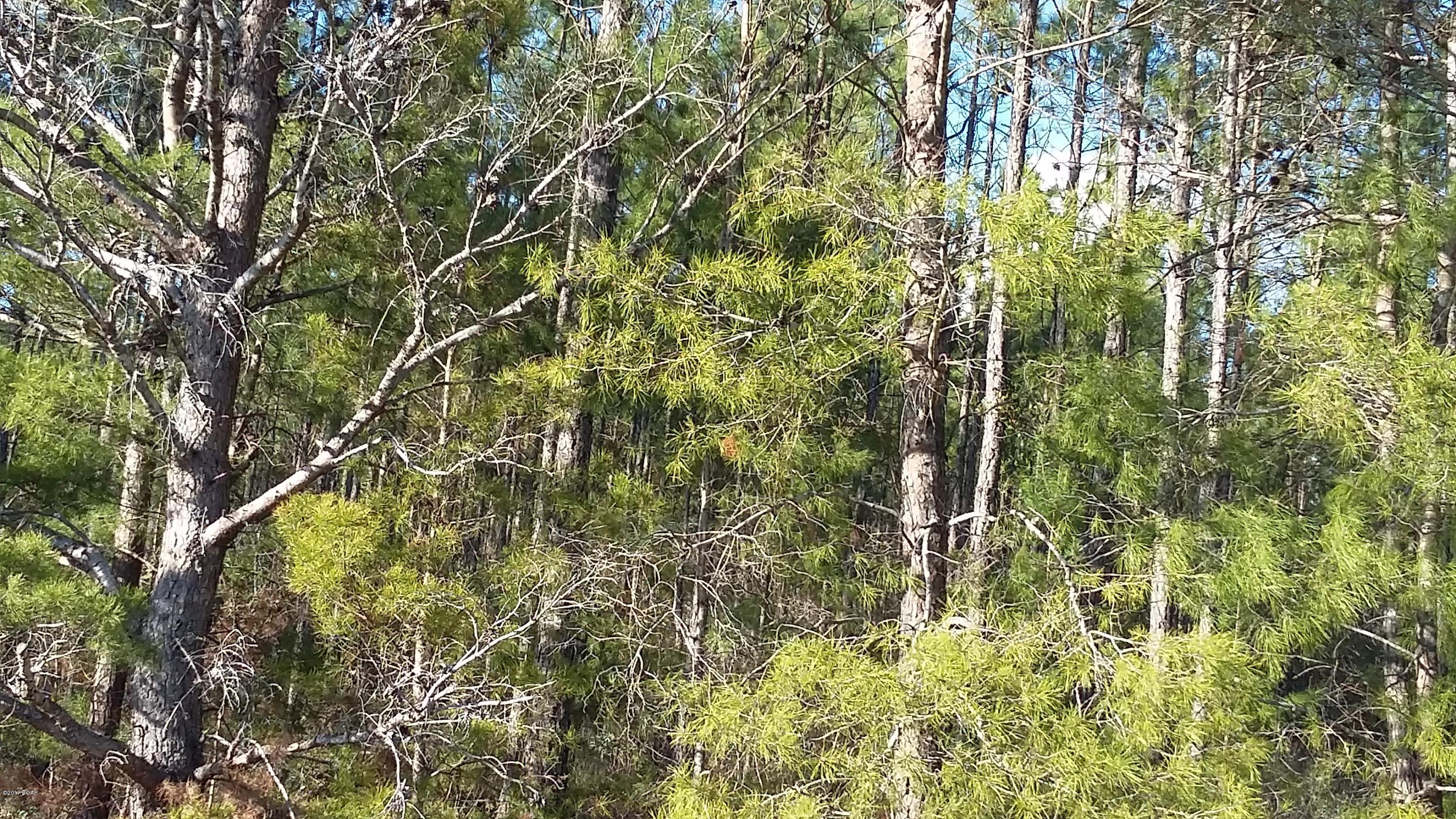 Nice 10 acre wooded property. Enjoy being in the country with the Birds and Deer. Be careful on this road it is sandy in places.