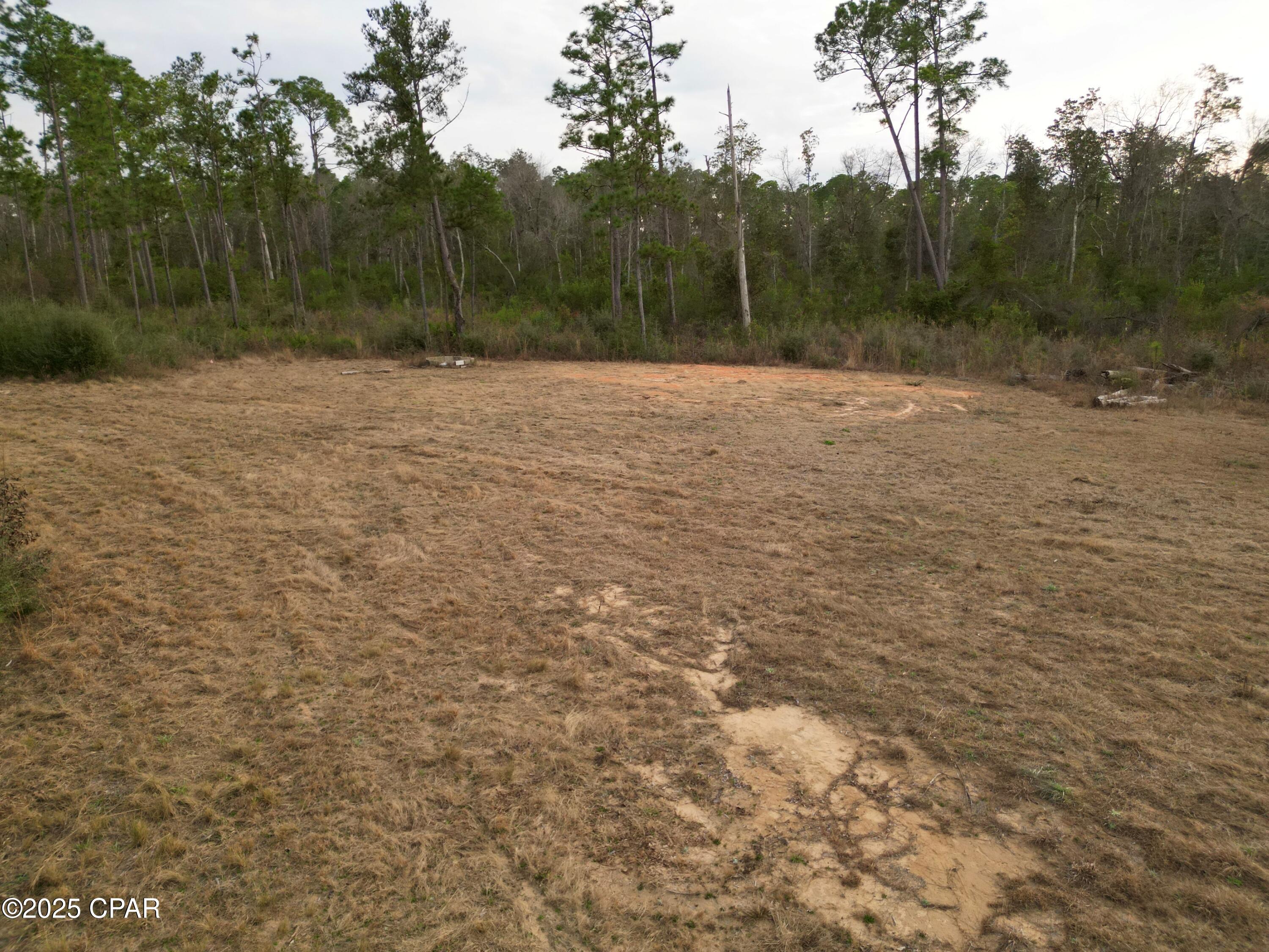 Buckhorn Creek - Land