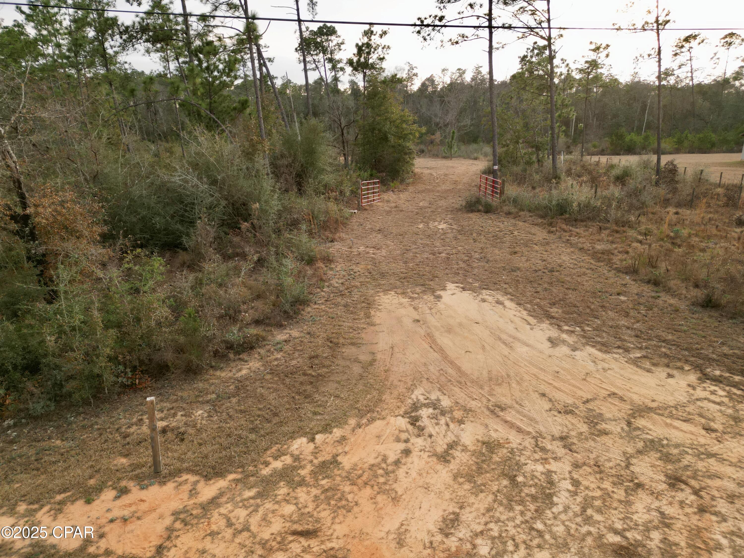 Buckhorn Creek - Land