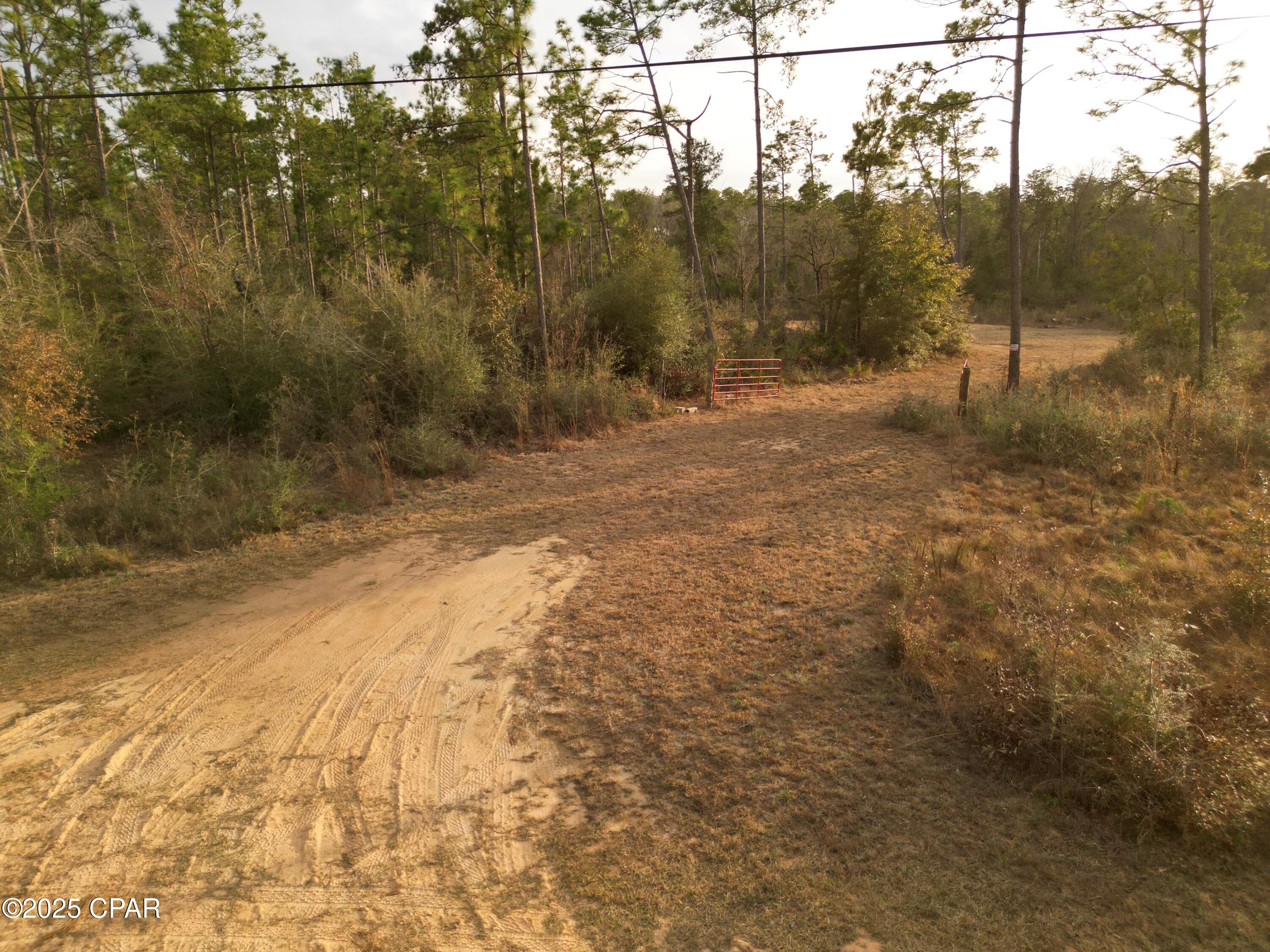 Buckhorn Creek - Land