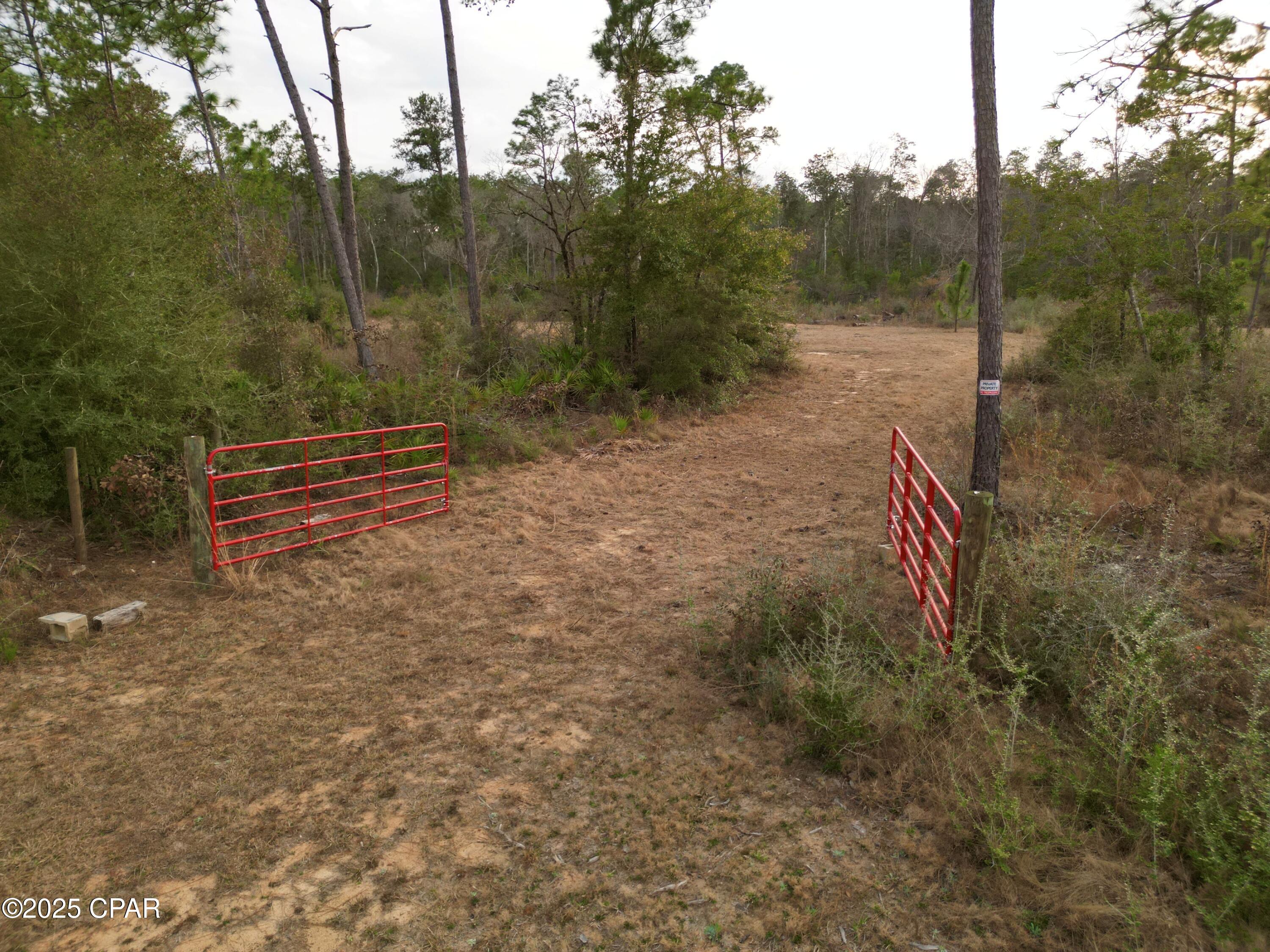 Buckhorn Creek - Land