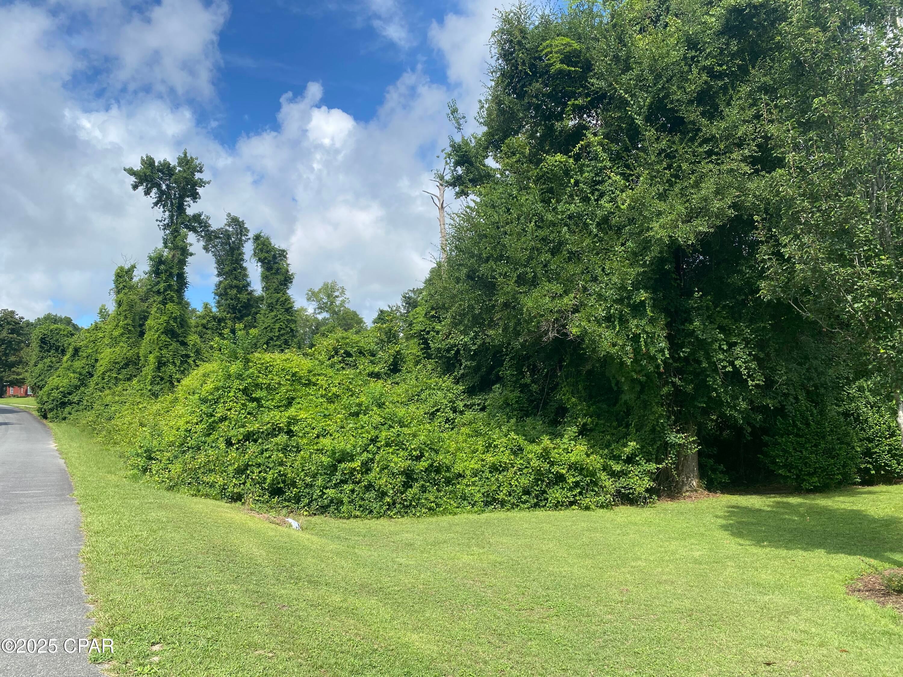 Perfect homesite or future investment right on the golf course!  Beautiful .75 +/- acre lot  (#16) in the family-friendly Indian Springs community, near the eastern bank of Merritt's Mill Pond. Home to Magnolia Oaks Golf and Country Club, this lot is located on hole #11 and offers an ideal setting to build your dream home.   Enjoy paved road access, with public water and sewer available in most areas of the community. Whether you're ready to build or invest, this property suits both. Contact us today for more details! (Note: Buyer should verify utilities, property restrictions, and listing details.) Multiple lots for sale.  See pictures and map.
Key features:
*Paved road access
*Beautiful golf course views
*Upgraded public water and sewer coming soon - no well or septic needed
*Quiet and peaceful neighborhood
*Close proximity to Merritt's Mill Pond (220 acre spring-fed lake with crystal clear waters)