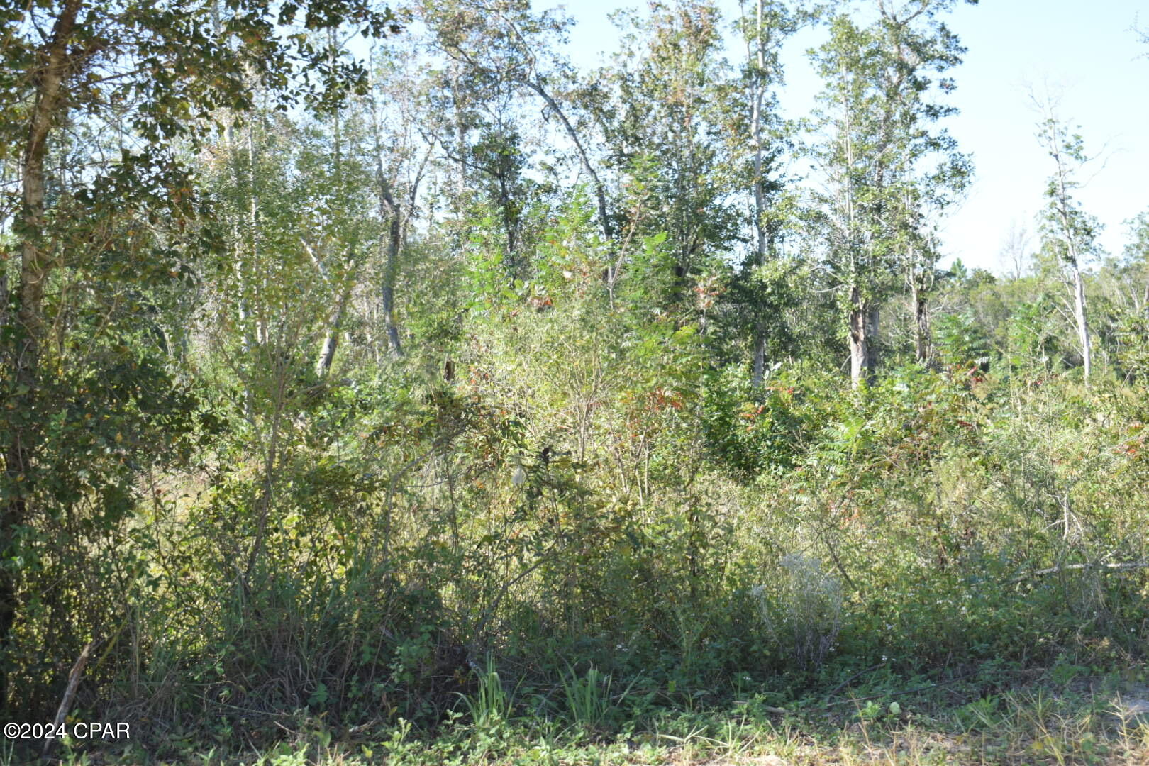 Youngstown Plat - Land