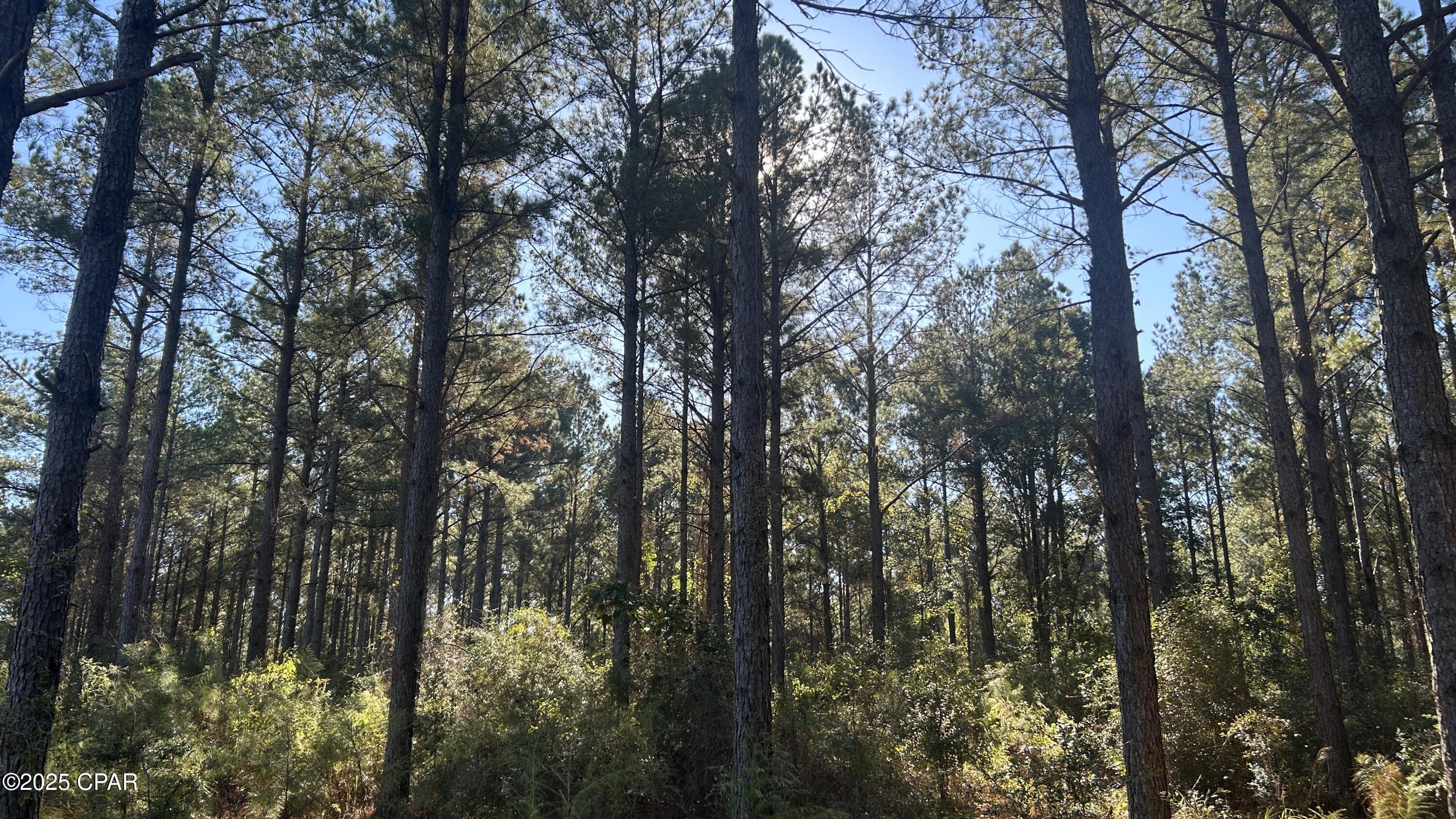 Other - Land