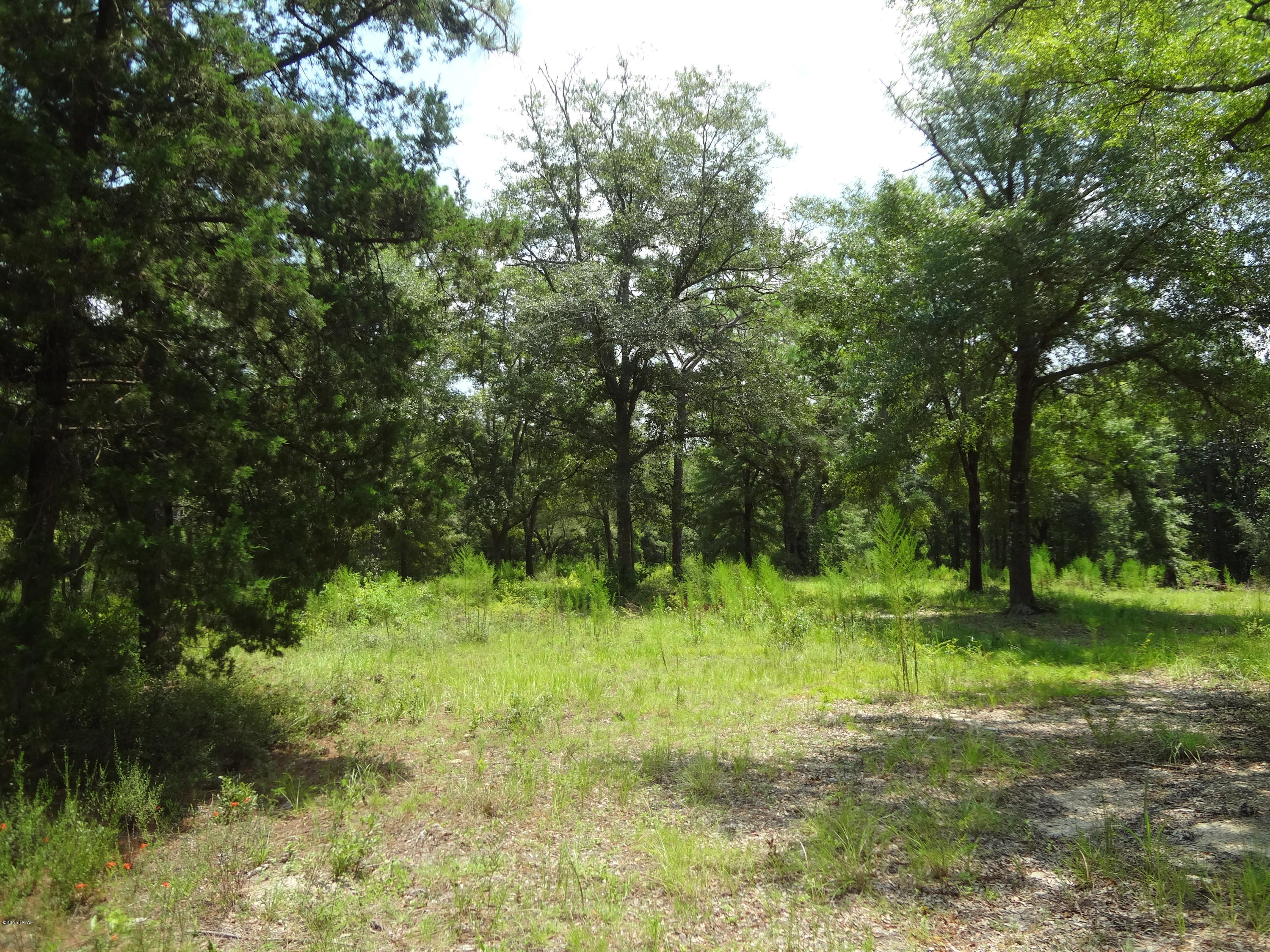 No Named Subdivision - Land