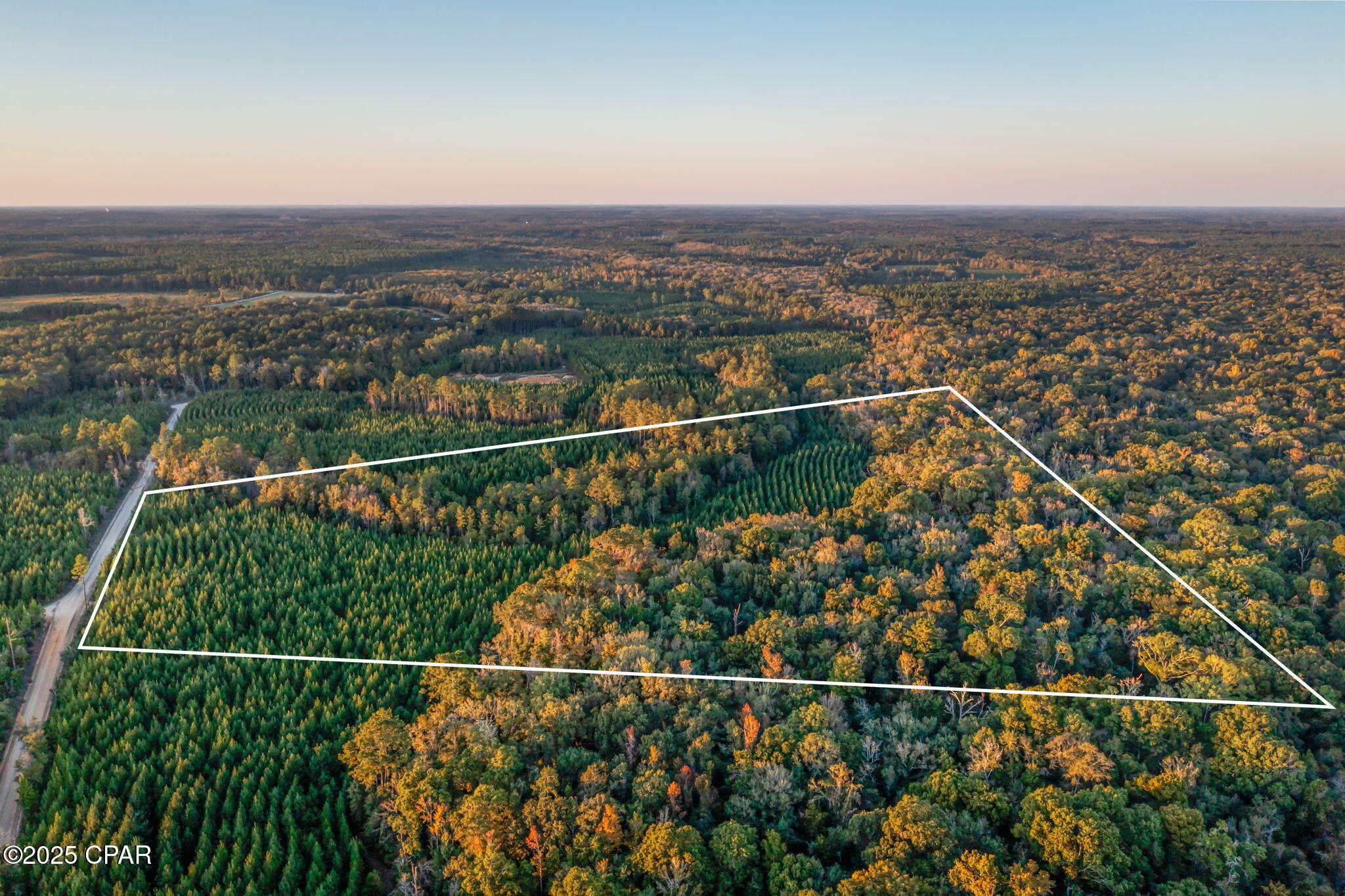 Escape to your own private retreat with this beautiful 25+/- acre wooded parcel, ideally located just minutes from Hwy 277. Whether you're dreaming of building your forever home, creating an investment property, or simply enjoying a peaceful weekend getaway, this property offers endless possibilities. The mature trees provide privacy and natural beauty, while the convenient location keeps you close to everyday essentials. Best of all, you're only about 50 minutes from 'The World's Most Beautiful Beaches,' making it easy to enjoy the best of both country living and coastal fun! Don't miss this rare opportunity to own your own slice of Northwest Florida paradise.