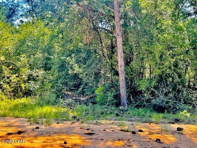 Compass Lake Hills Unit 3 - Land
