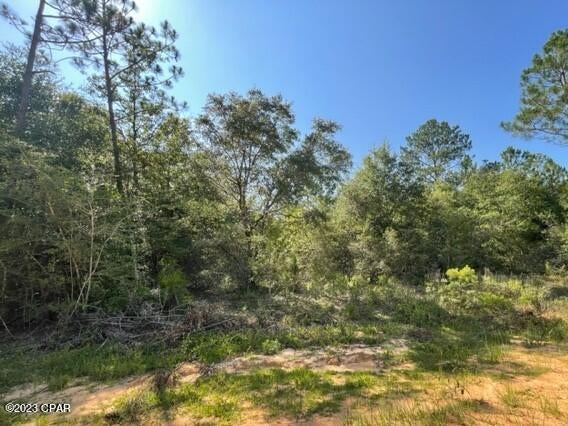 Nice wooded lot in lovely Compass Lake Hills.
Houses and modular home allowed in this area. 
Enjoy wildlife and quiet living here in the hills.
Deer, turkey, birds and butterflies will be your neighbors here to enjoy.  You have easy access south to Panama City on the coast and north to Marianna for shopping, etc,