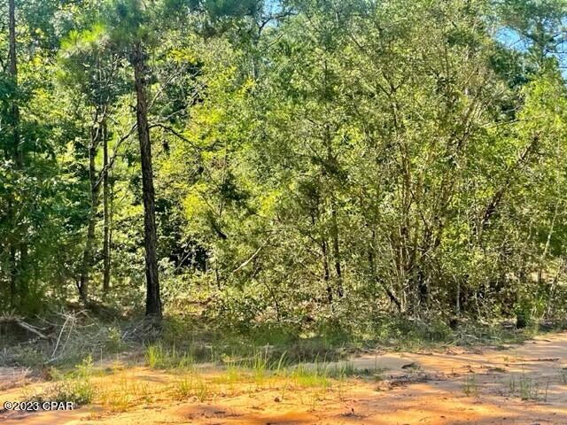 Compass Lake Hills Unit 3 - Land