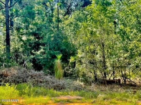 Compass Lake Hills Unit 3 - Land