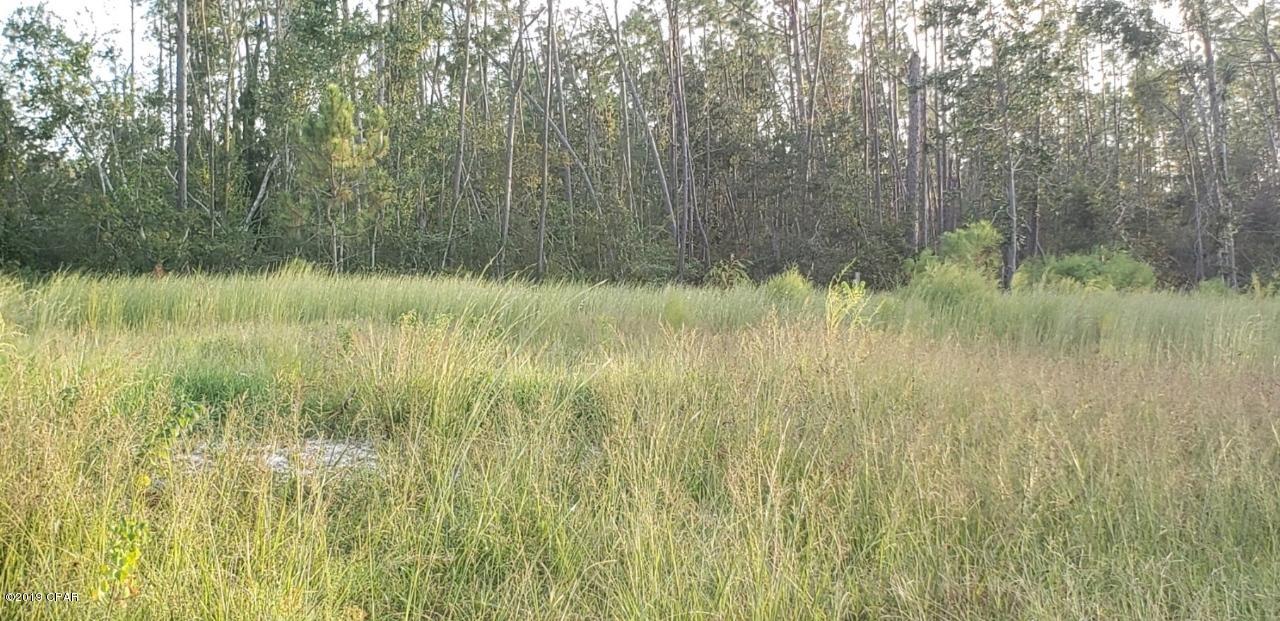 1/2 acre lot, county water available, new septic to be installed. 1/2 mile to boat landing with Gulf access! In the county so horses, chickens, goats, etc are allowed. Room for a large garden and all of your toys! Perfect for your dream home. Neighbor has brick home. Additional 1/2 acre lot on left also available. Make offer on both! Casa Laxmi Foundation owns the 231 acres just down the road so the value of this land should just go up, up, up. Septic system will be for up to 3 bedroom, 2 bathroom, 2,000 sq ft home. Septic system will not include hookup or pump station(if needed). Builder should elevate home to an appropriate level to not require a pump station.