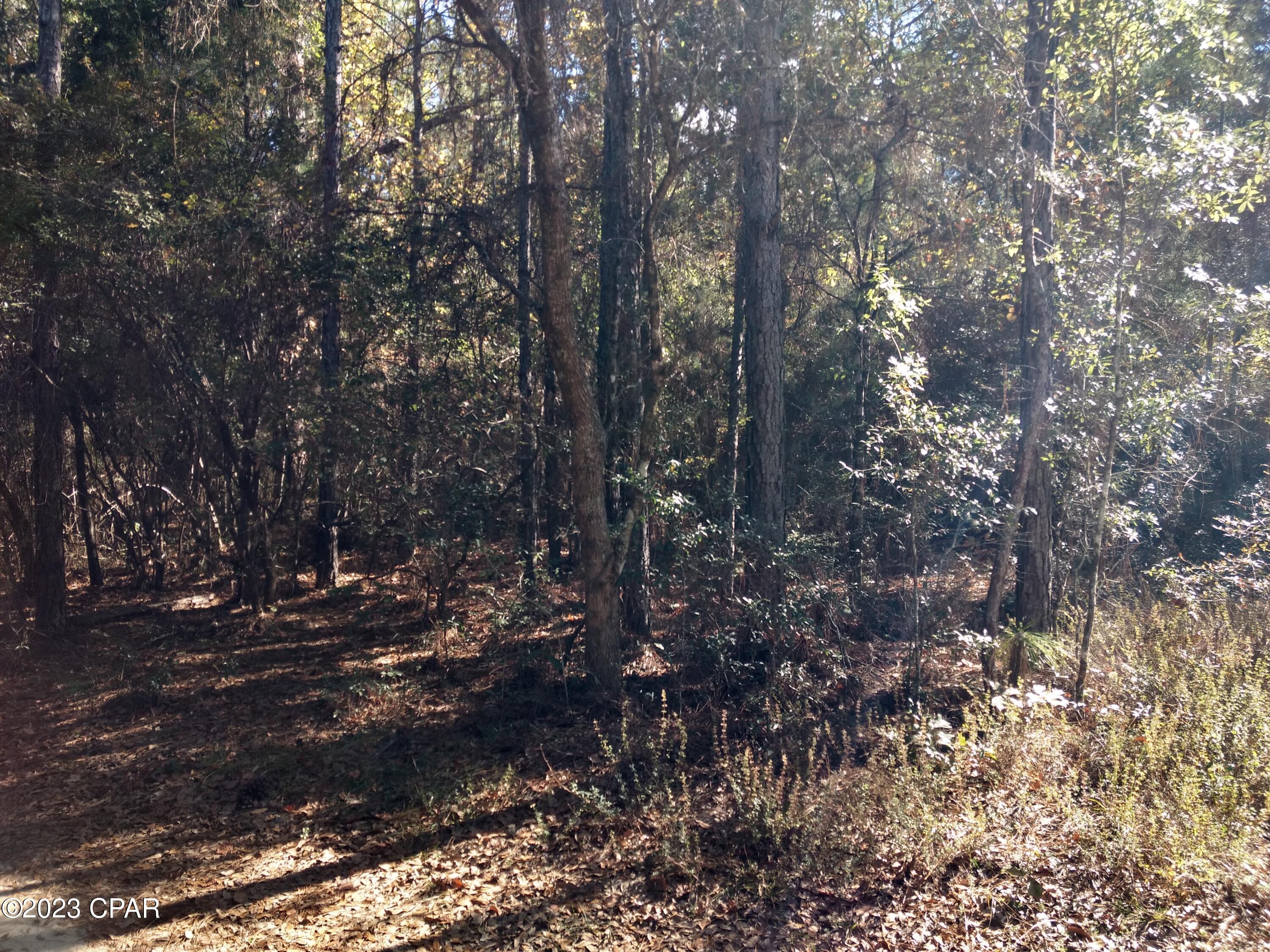 Beautiful lot that fronts on the 15th Fairway. This is a very nice Golf Course with low rates and some great golfing. Nearby is a large Lake with boat ramp and good fishing. Lot is wooded, with a little bit of clearing, would make a nice home site. Located about 6 miles from Bonifay.