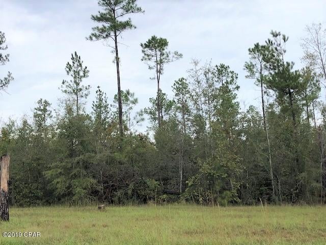 Blue Springs Plantation - Land