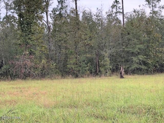 Blue Springs Plantation - Land
