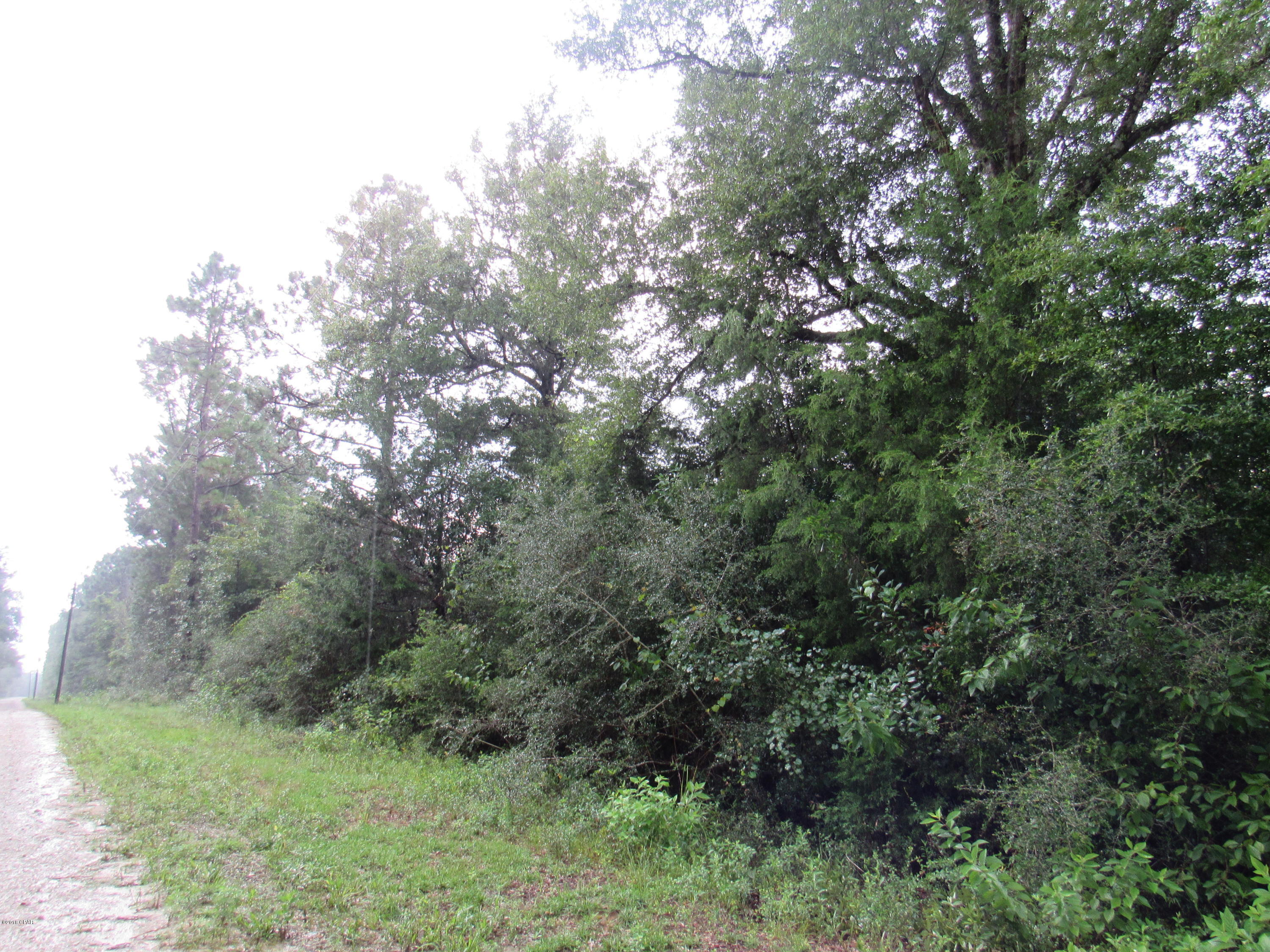 If you are looking for rich, beautiful farm land this is it! Quiet country living just a few minutes past the Bay County line! Twenty-two wooded acres! Great place for cows and horses! Take advantage of this opportunity to have your own farm! Property can be split! Please do not enter property without permission. Please verify all information. Measurements

and lot sizes were estimated and approximately 22 acres more or less.