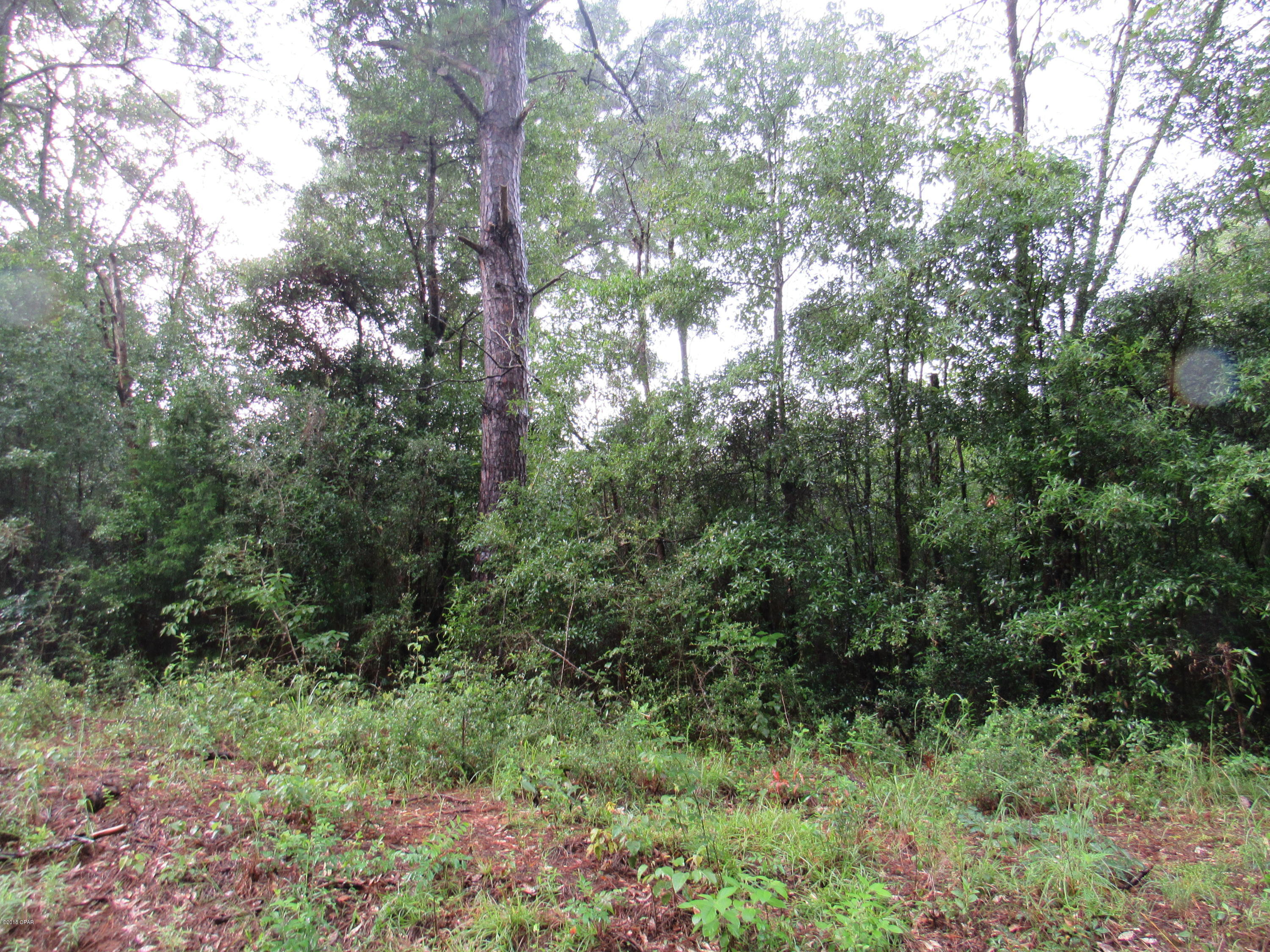 No Named Subdivision - Land