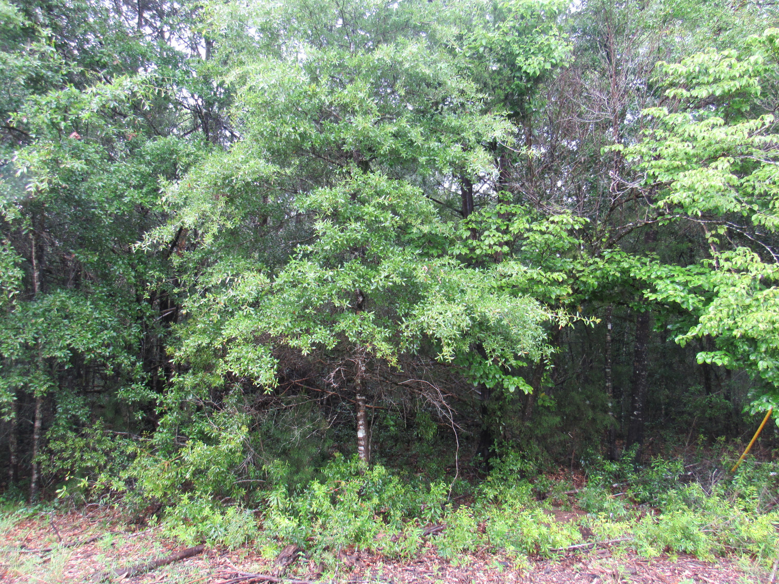 No Named Subdivision - Land