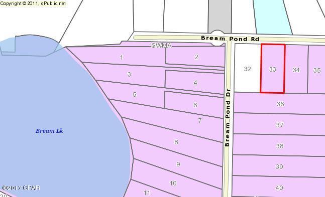 Bream Pond - Land
