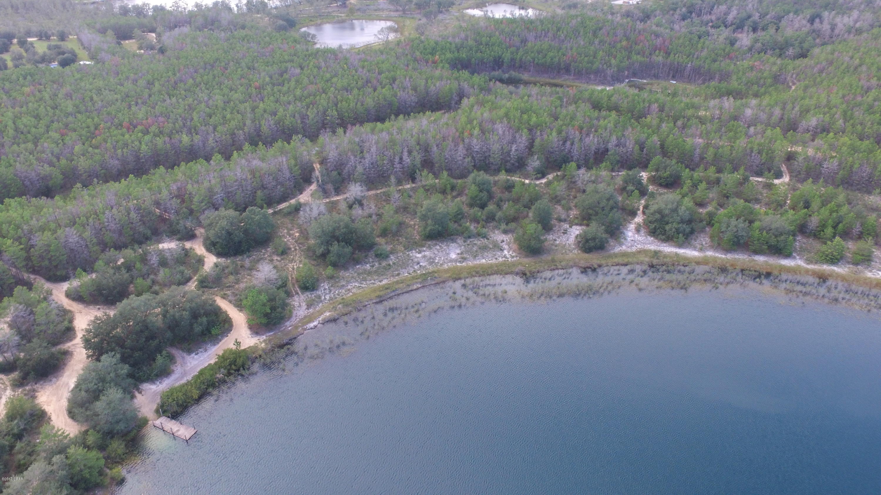 Bream Pond - Land