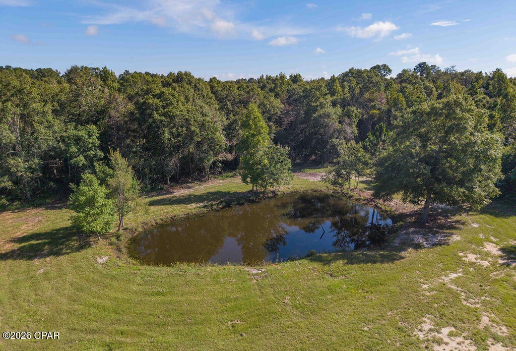 Beautiful Country Property with Pond, Fishing & Hunting Potential in Graceville!
Looking for a peaceful piece of country property in a desirable location? This partially cleared parcel on a beautiful paved country road in Graceville, Florida offers the perfect setting to build your dream home, country retreat, or weekend getaway.
One of the property's standout features is the beautiful pond, complete with fish, offering a great spot to relax, fish, and enjoy the peaceful outdoors. The surrounding acreage also provides a great hunting spot, making this property especially appealing to those who enjoy hunting, fishing, and the outdoor lifestyle.
An old homesite was once located on the property, and there is an existing well and septic system, with electrical service having been available at the site in the past. Buyers should verify the condition and usability of all existing improvements and utilities with the appropriate professionals and utility providers.
With a mix of partially cleared land, natural surroundings, a scenic pond, and a beautiful paved country road, this property offers plenty of possibilities. Build a home, create a private country retreat, or simply enjoy your own slice of the Florida countryside.
Note* The photo of the home and driveway is a concept photo and not a real home so that you can see what a home may look like on the property.