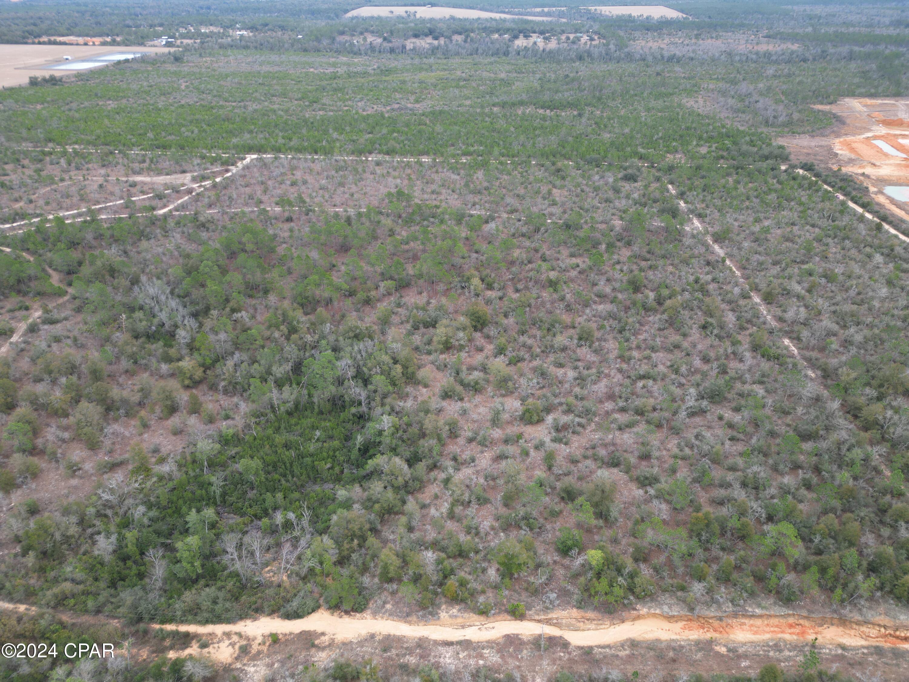 This 39+acre property is located in Washington County, Florida, and offers the perfect blend of rural living and recreational fun. If you're an avid hunter, nature lover, or looking for a beautiful home site, this is the opportunity you've been waiting for.
Nestled in the peaceful Florida Panhandle, it is extremely private.  Future homeowners will certainly appreciate the peace and quiet surrounding the property.
For hunting enthusiasts, this is a dream come true. With abundant wildlife including white-tail deer and turkeys, you'll have ample opportunities to enjoy the sport on your own private property.
If outdoor recreation is what you're looking for, you'll be thrilled to discover that there are established trails throughout - making hunting and ATV riding more convenient and enjoyable.
This expansive parcel offers the peace and tranquility that comes with rural living - while still being within reach of modern conveniences. 
Don't wait any longer to make your outdoor dreams come true. Call today to schedule a showing!

Additional information:
*Trails and infrastructure throughout property
*Perfect for recreation, hunting, or potential home site
*Chipley, FL - 12 miles
*Panama City, FL - 42 miles
*Panama City Beach - 48 miles