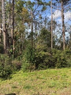 Great lot in residential area. Convenient access to downtown Port St Joe. . Don't miss this opportunity to build your dream home! Approximately 7 blocks away from the beautiful St Joe Bay.  X flood zone