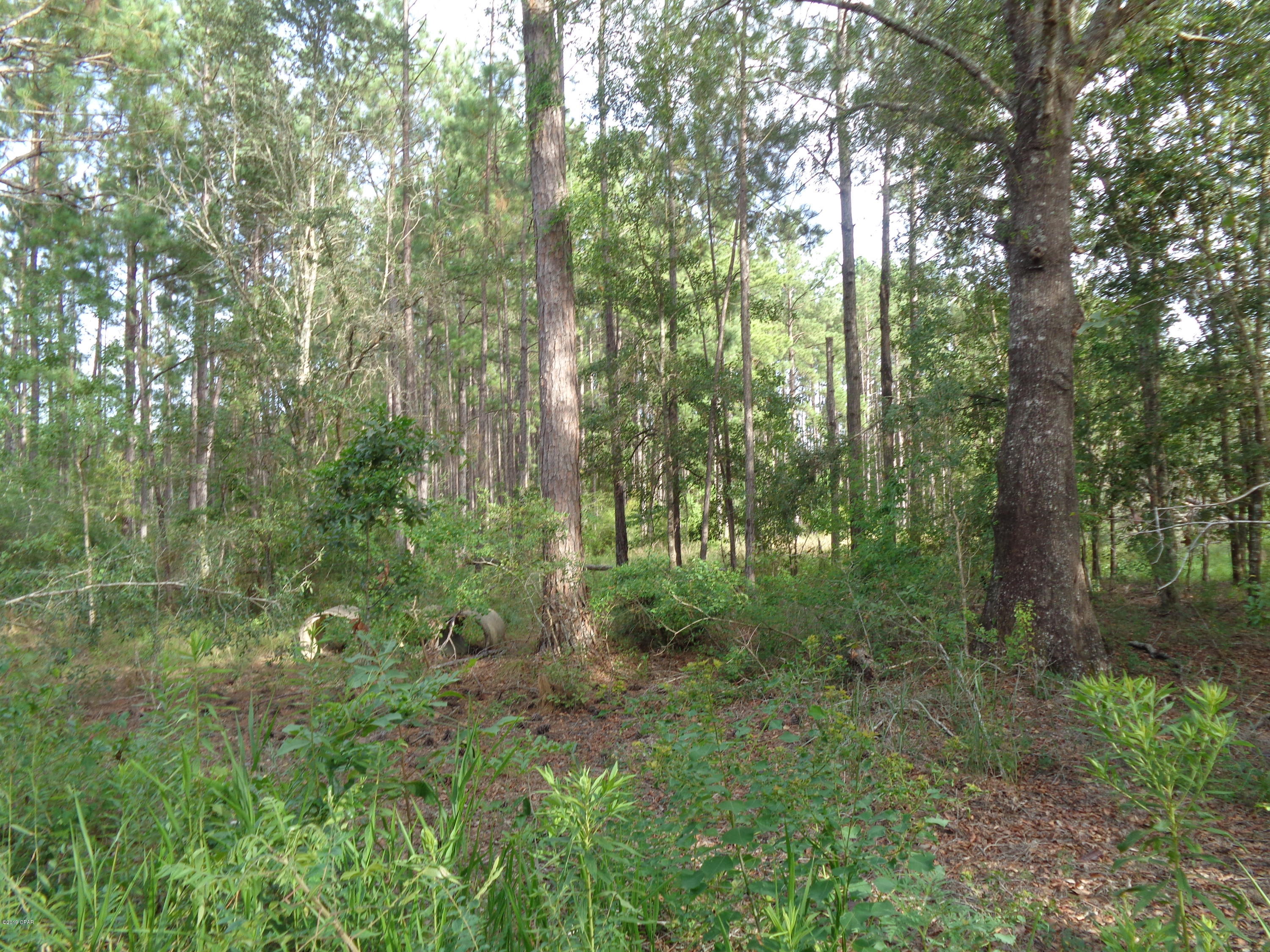 No Named Subdivision - Land