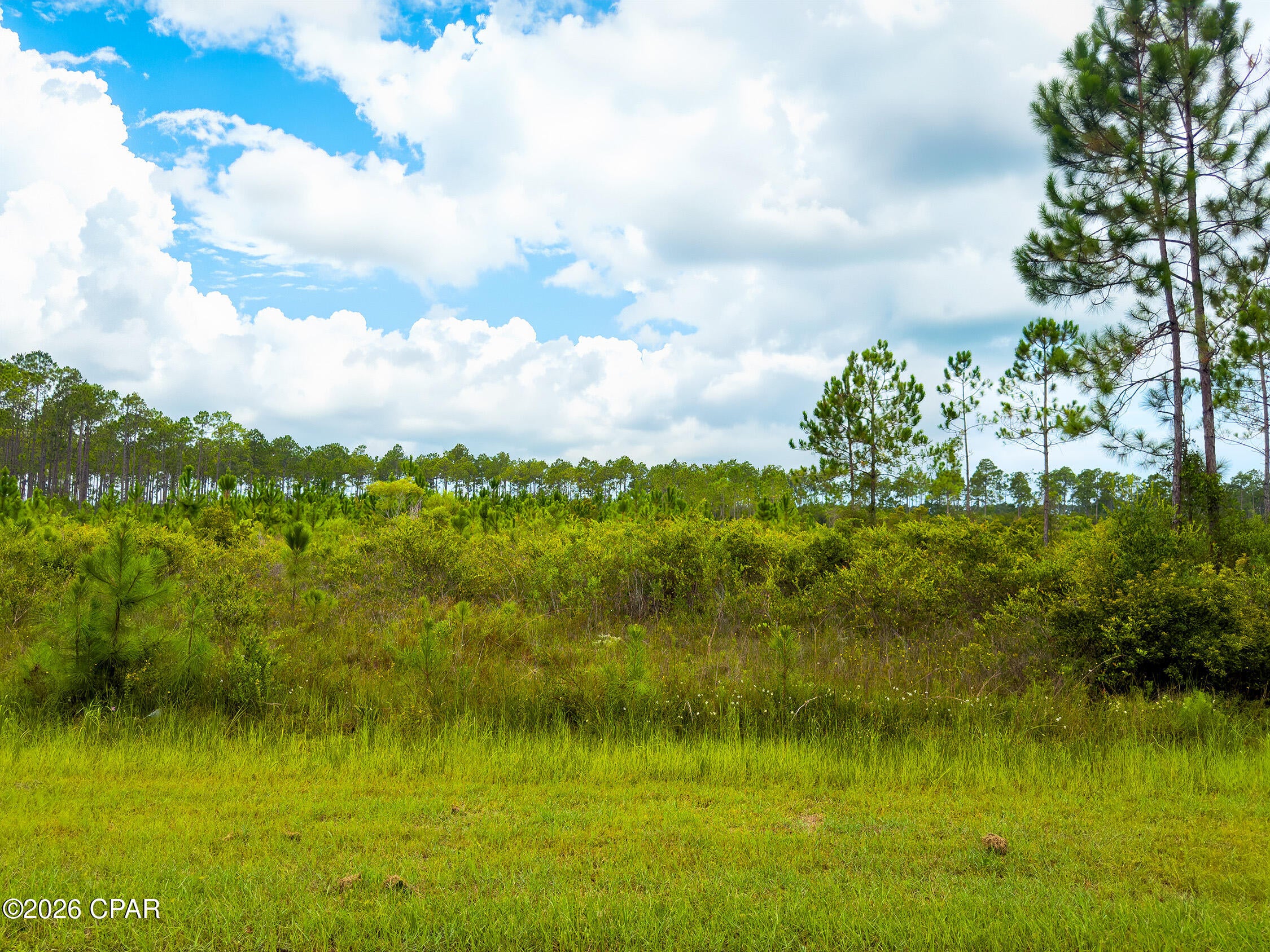 Discover the perfect setting for your dream home on this exceptional 2.7-acre homesite in the desirable Coastal Plantation community of Port St. Joe. Ideally located less than half a mile from Sacred Heart Hospital and Gulf Coast State College, this spacious property offers the rare combination of privacy, convenience, and room to build. Essential utilities are available, including city water and sewer (tap fees paid), and electricity, making it easy to begin planning your custom home. The property is located entirely in an X Flood Zone, so no flood insurance is required by most lenders. Coastal Plantation allows site-built single-family homes with established minimum square footage requirements and build-to lines, while also permitting outbuildings for added flexibility. With plenty of space for a custom residence, workshop, pool, or additional outdoor living, this estate-sized homesite offers endless possibilities. Enjoy the peace and beauty of coastal living while remaining just minutes from shopping, dining, schools, healthcare, and the white-sand beaches of Florida's Forgotten Coast. Don't miss this rare opportunity to own one of the area's premier acreage homesites.