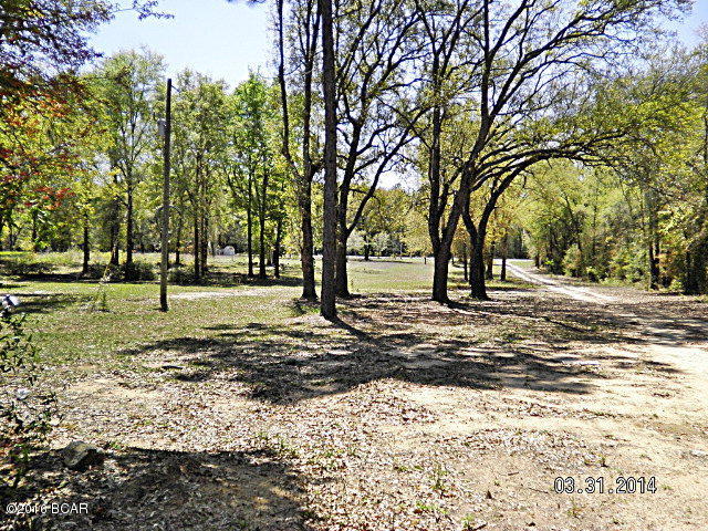 Bank owned 4.5 ac on Butler road in Sneads, well, septic, pond, elec