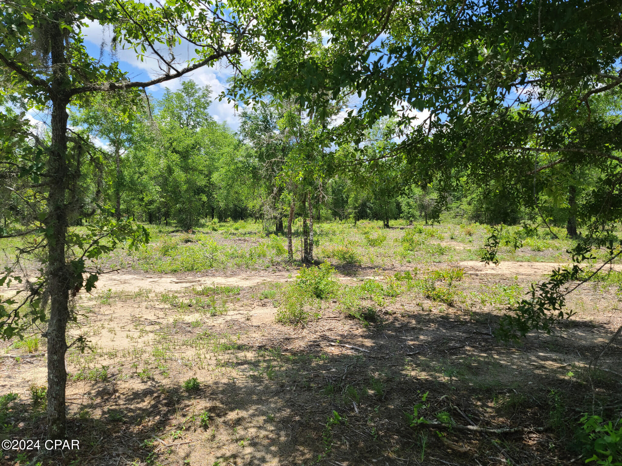 Bayview Manor - Land
